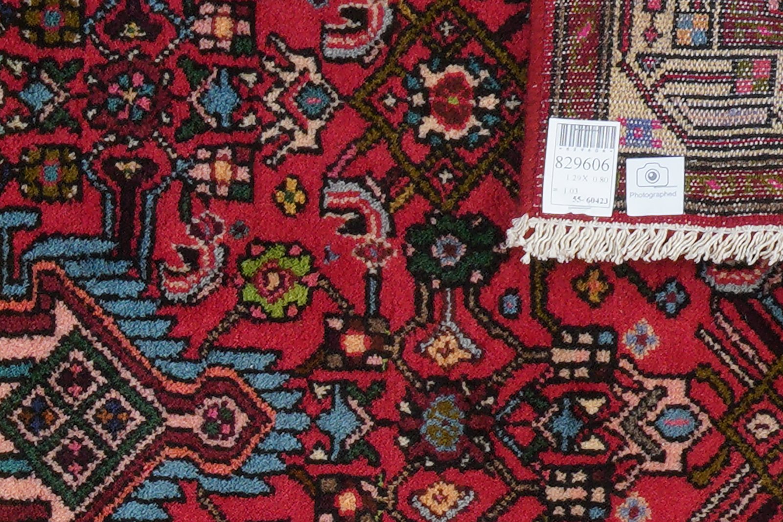 Assadabad — Hand-knotted, 80x129 cm, Red, 100% Virgin Wool | View 6