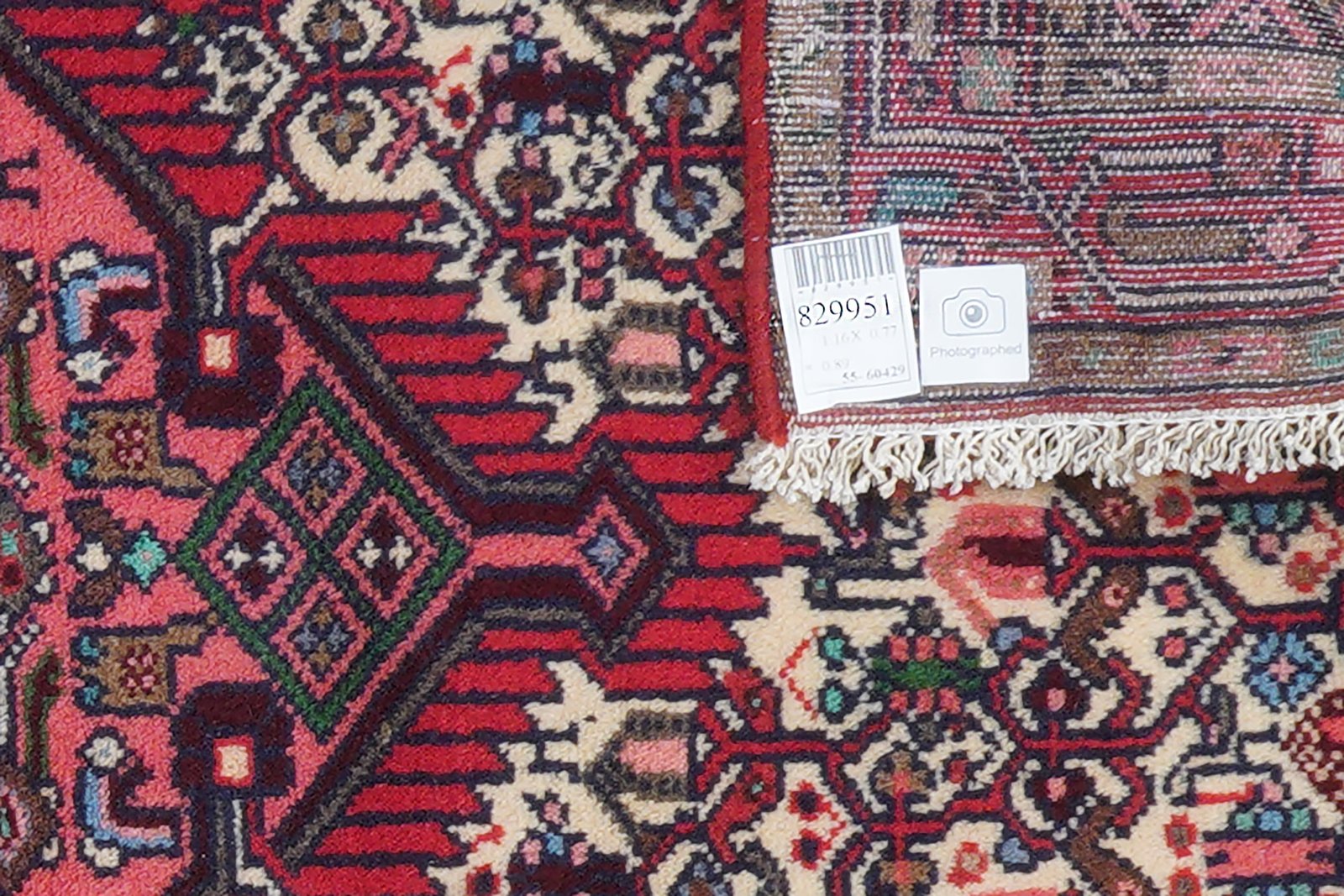 Assadabad — Hand-knotted, 77x116 cm, Beige, 100% Virgin Wool | View 6