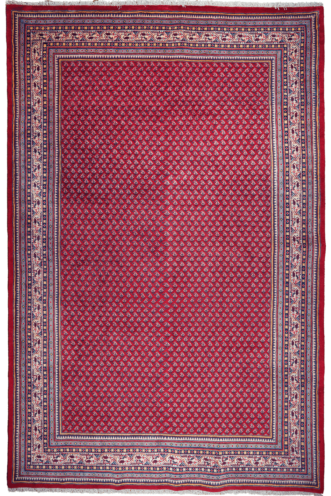 Sarough — Hand-knotted, 207x318 cm, Red, 100% Virgin Wool | Main view
