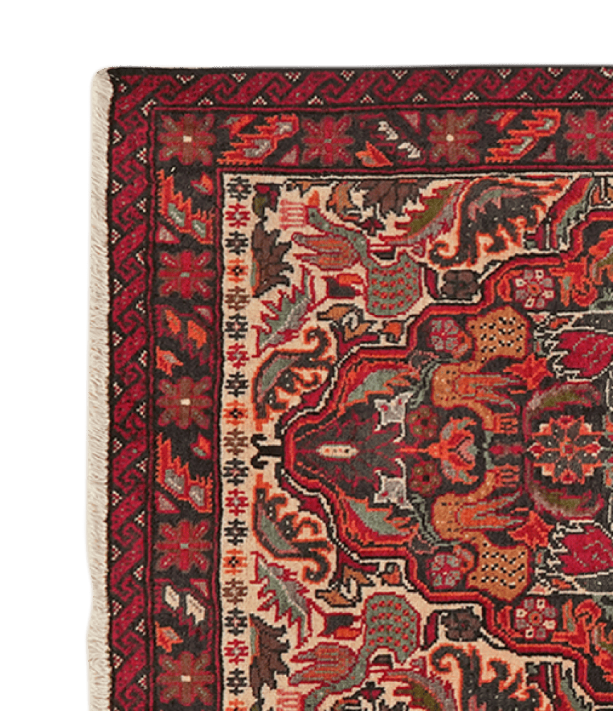 Belutch — Hand-knotted, 69x98 cm, Multicolor, 100% Virgin Wool | View 3
