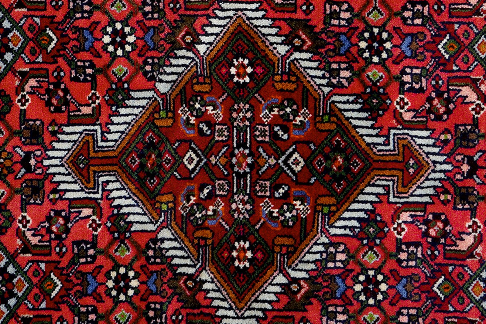 Assadabad — Hand-knotted, 83x207 cm, Red, 100% Virgin Wool | View 6