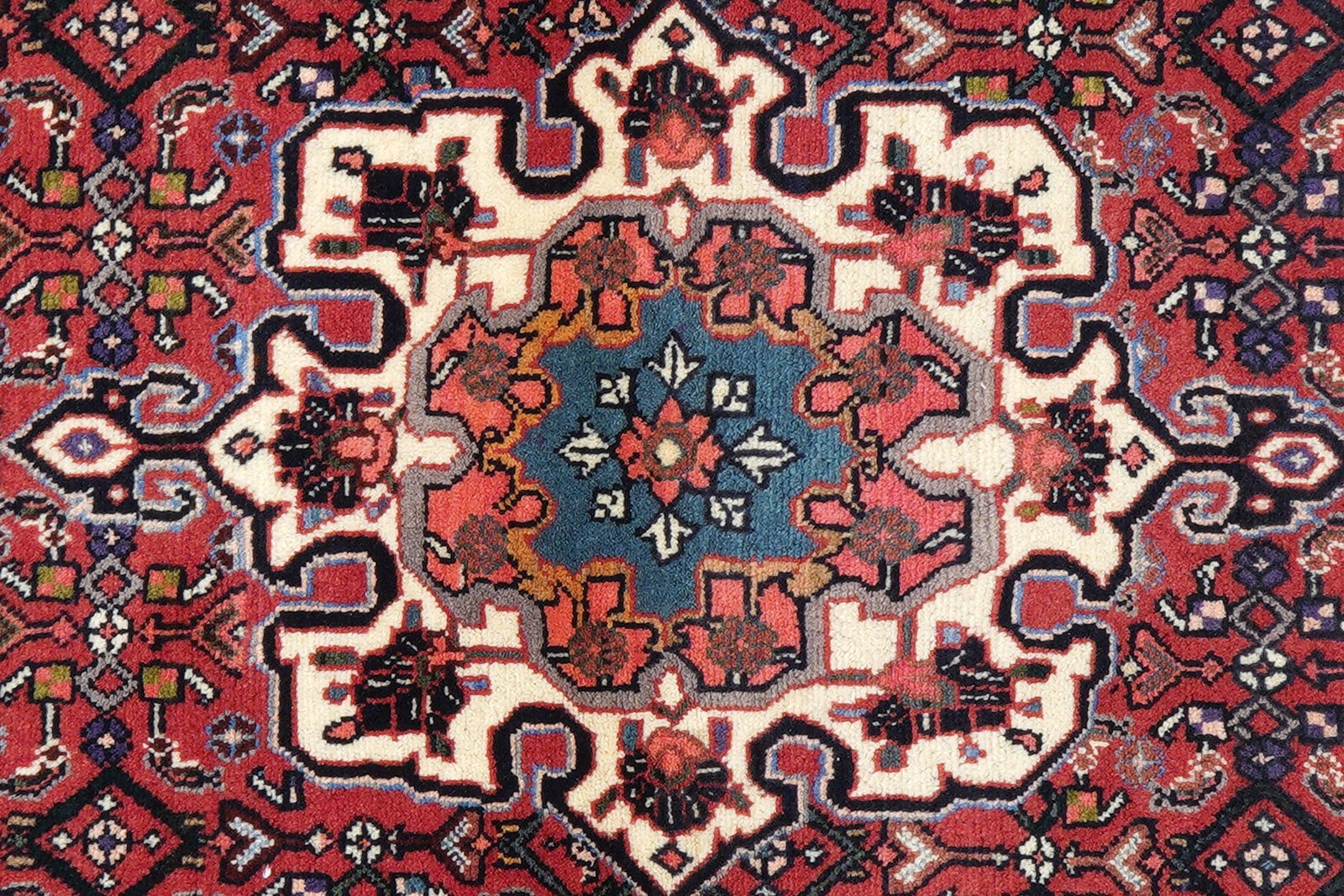 Bidjar Zandjan — Hand-knotted, 102x146 cm, Red, 100% Virgin Wool | View 6