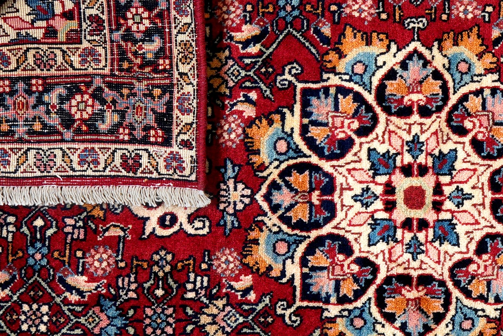 Bidjar Zandjan — Hand-knotted, 100x149 cm, Red, 100% Virgin Wool | View 7