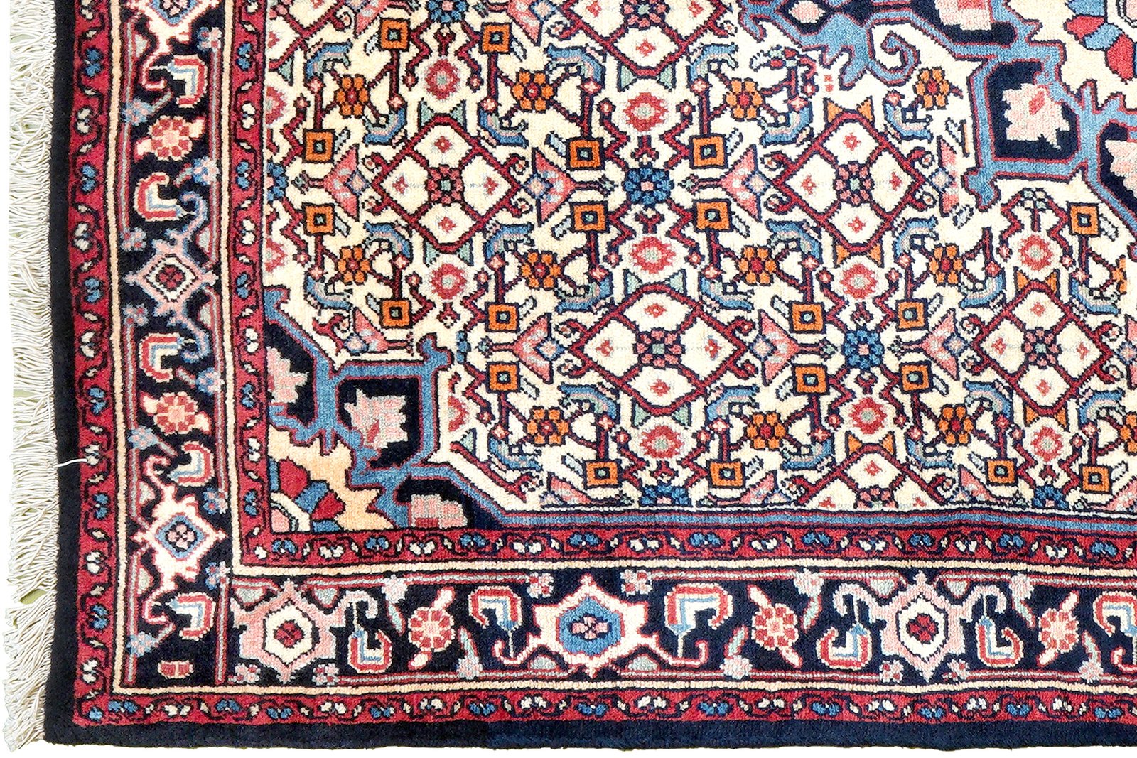 Bidjar Zandjan — Hand-knotted, 100x150 cm, Beige, 100% Virgin Wool | View 3