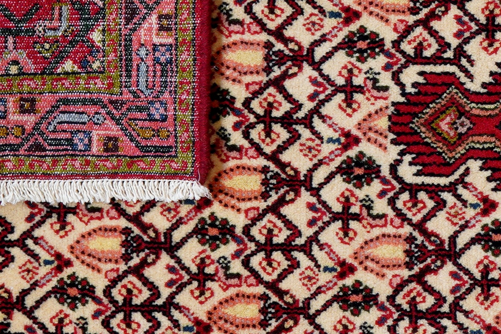Assadabad — Hand-knotted, 80x195 cm, Beige, 100% Virgin Wool | View 7