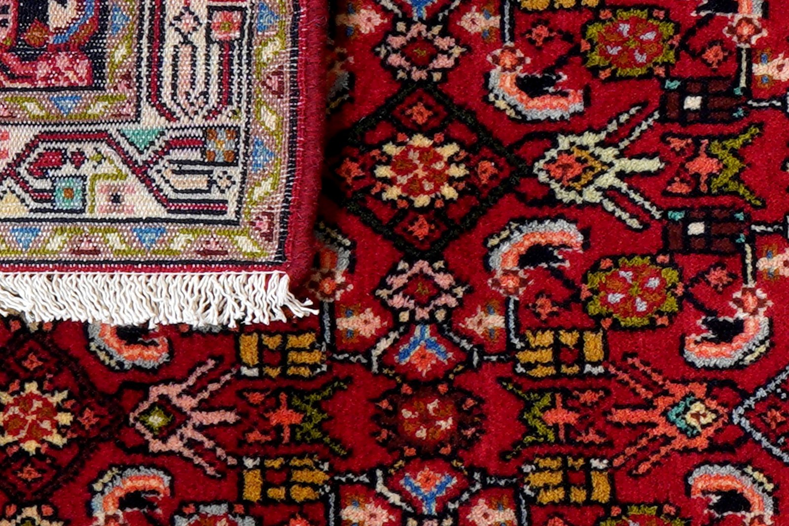 Assadabad — Hand-knotted, 79x204 cm, Red, 100% Virgin Wool | View 7