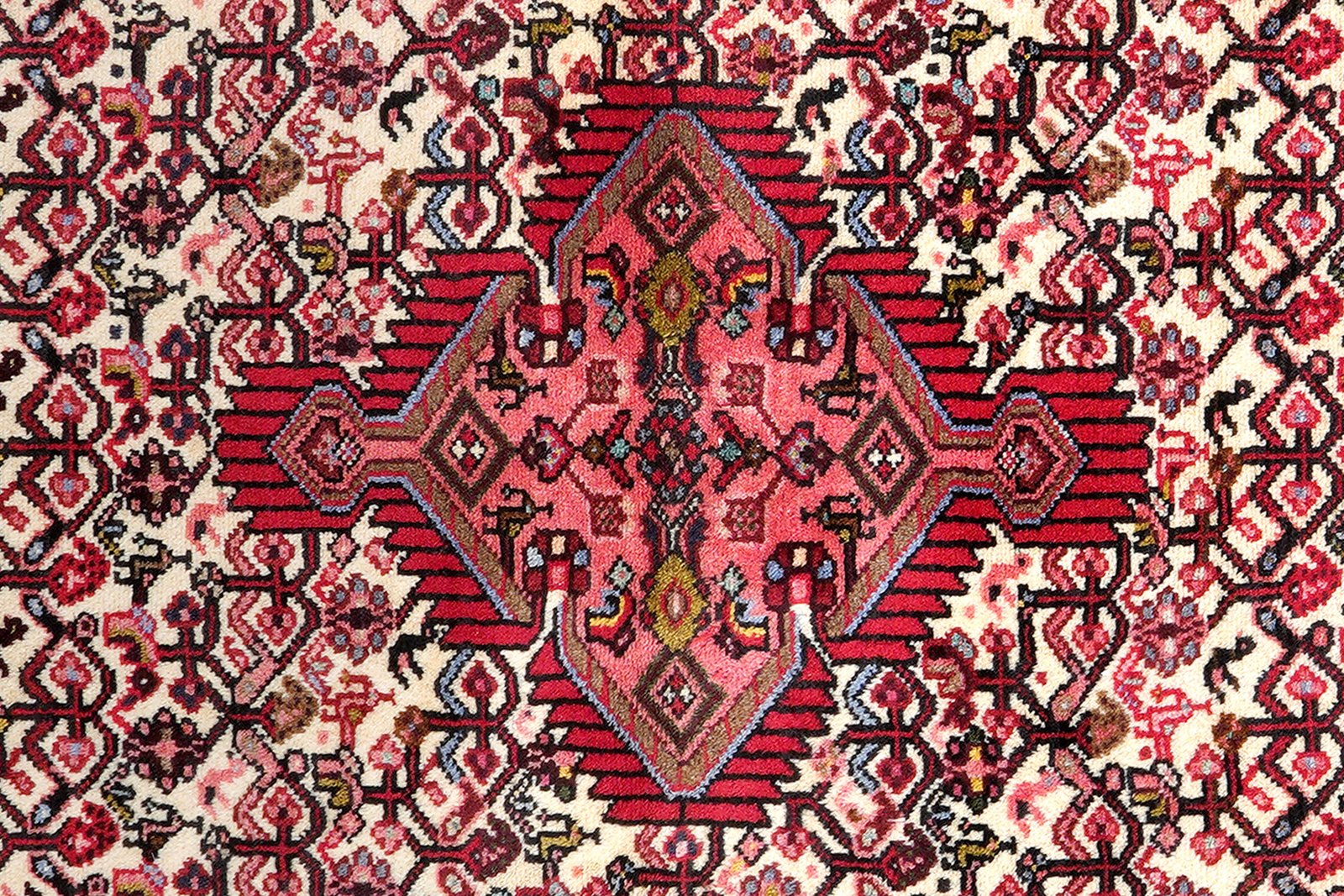 Assadabad — Hand-knotted, 79x209 cm, Beige, 100% Virgin Wool | View 6