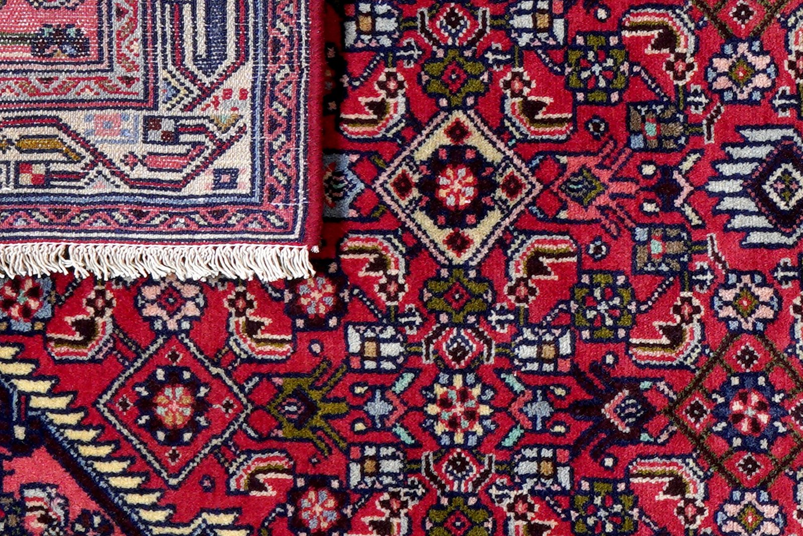 Assadabad — Hand-knotted, 81x196 cm, Red, 100% Virgin Wool | View 7