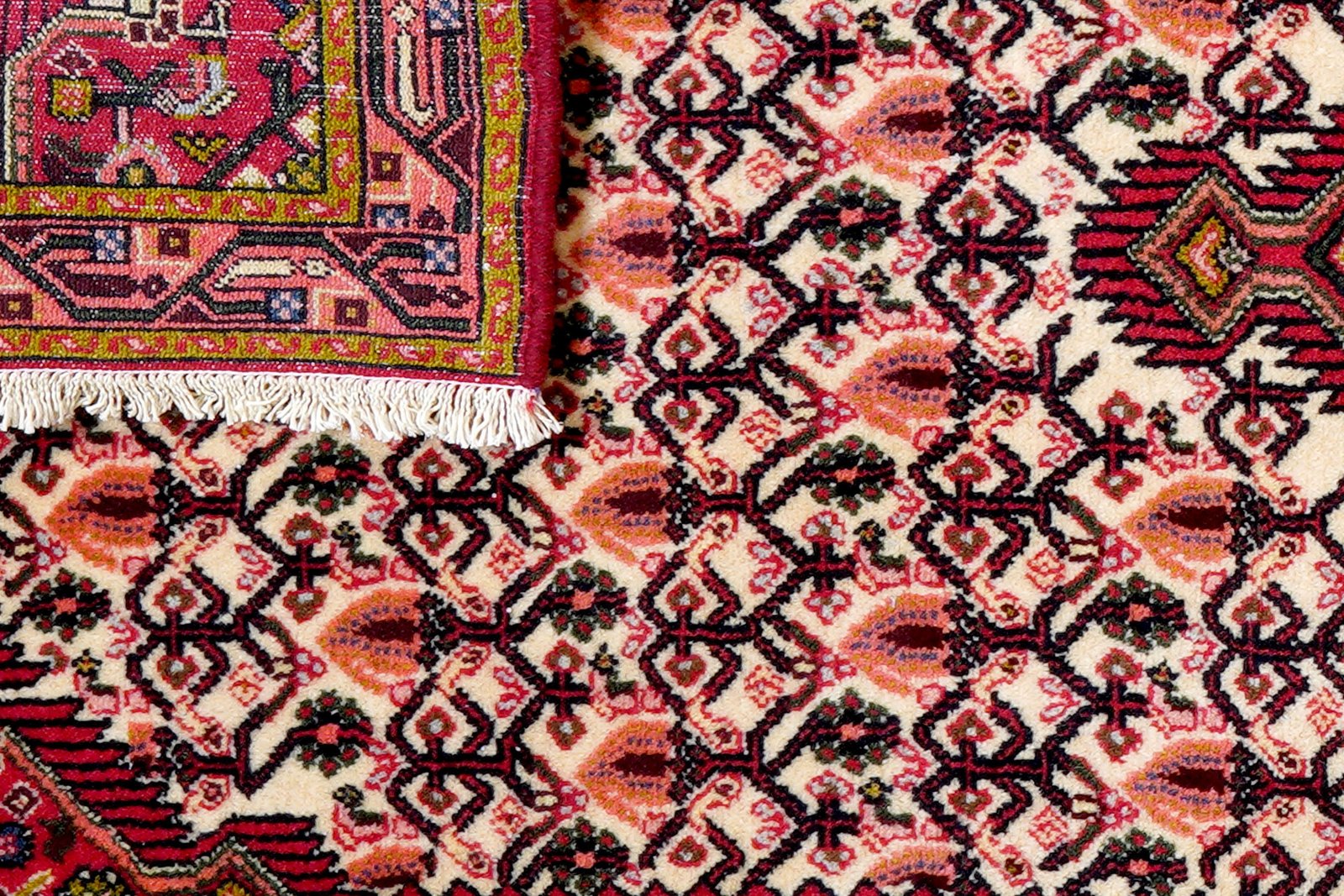 Assadabad — Hand-knotted, 74x185 cm, Beige, 100% Virgin Wool | View 7