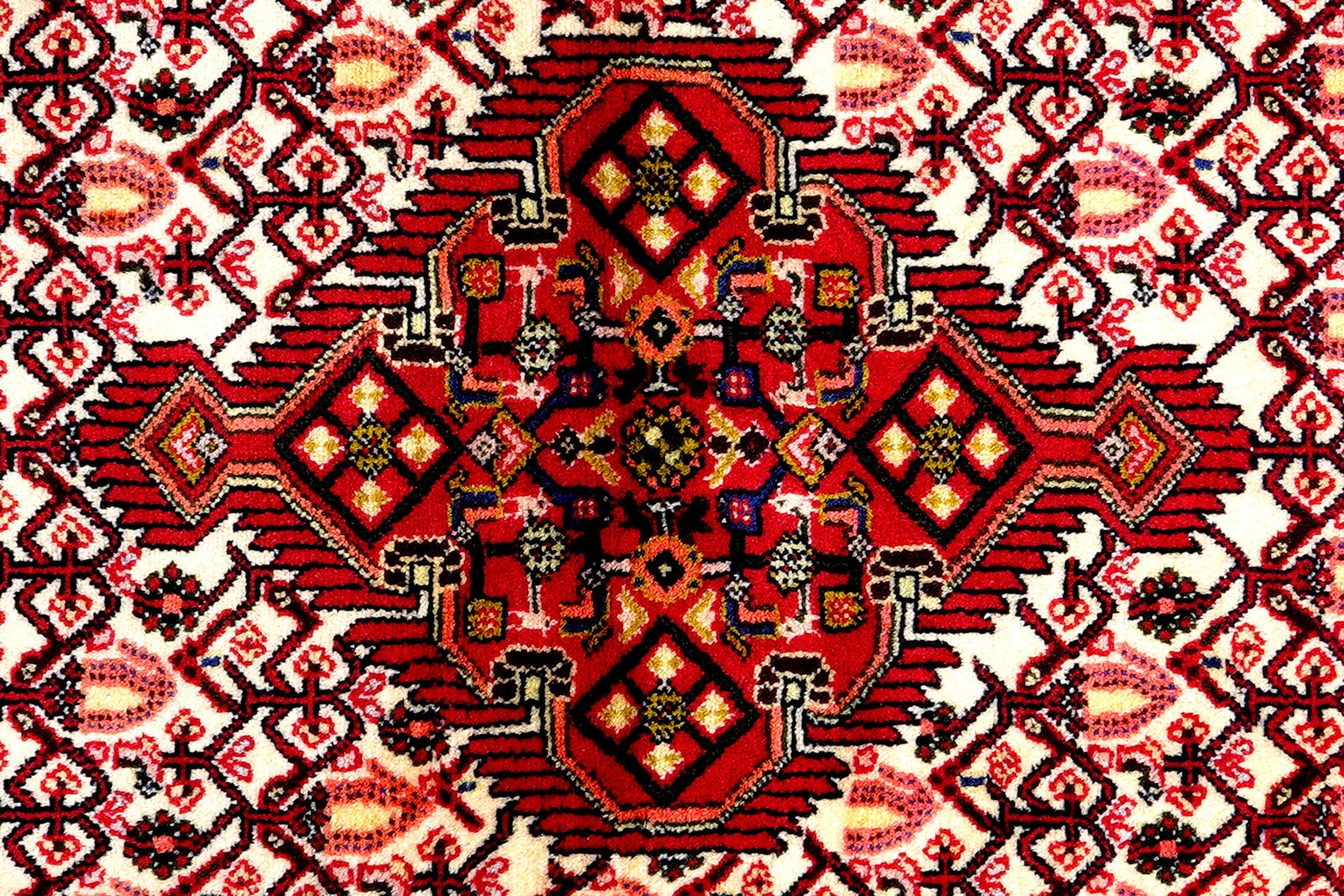 Assadabad — Hand-knotted, 81x189 cm, Beige, 100% Virgin Wool | View 6