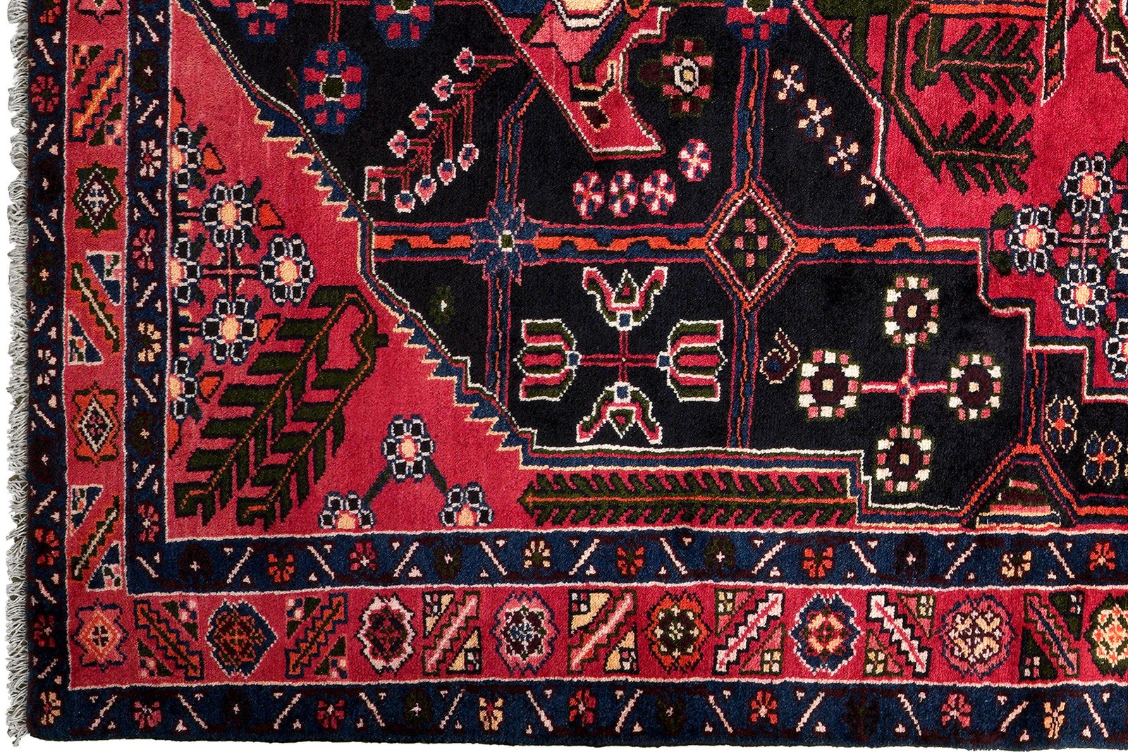 Shahsavan — Hand-knotted, 154x227 cm, Black, 100% Virgin Wool | View 3