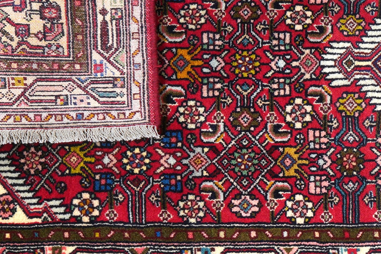 Assadabad — Hand-knotted, 77x201 cm, Red, 100% Virgin Wool | View 7