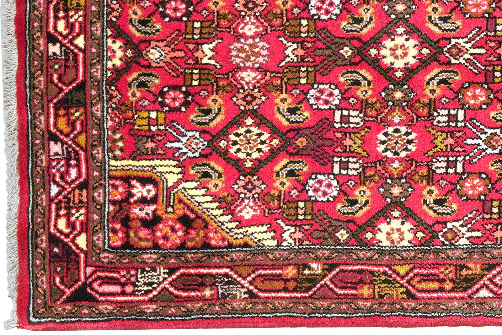 Assadabad — Hand-knotted, 79x211 cm, Red, 100% Virgin Wool | View 3