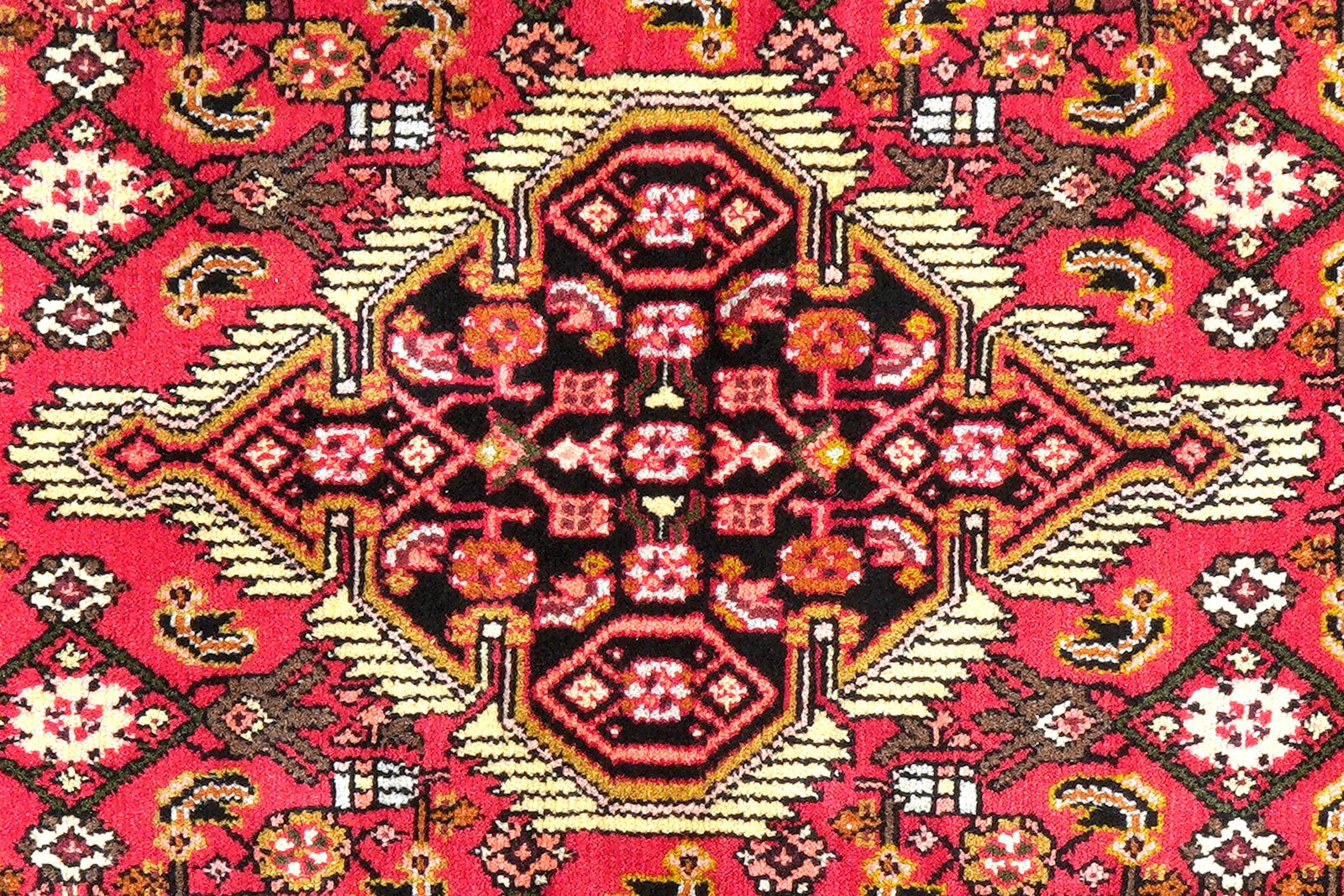 Assadabad — Hand-knotted, 79x211 cm, Red, 100% Virgin Wool | View 6