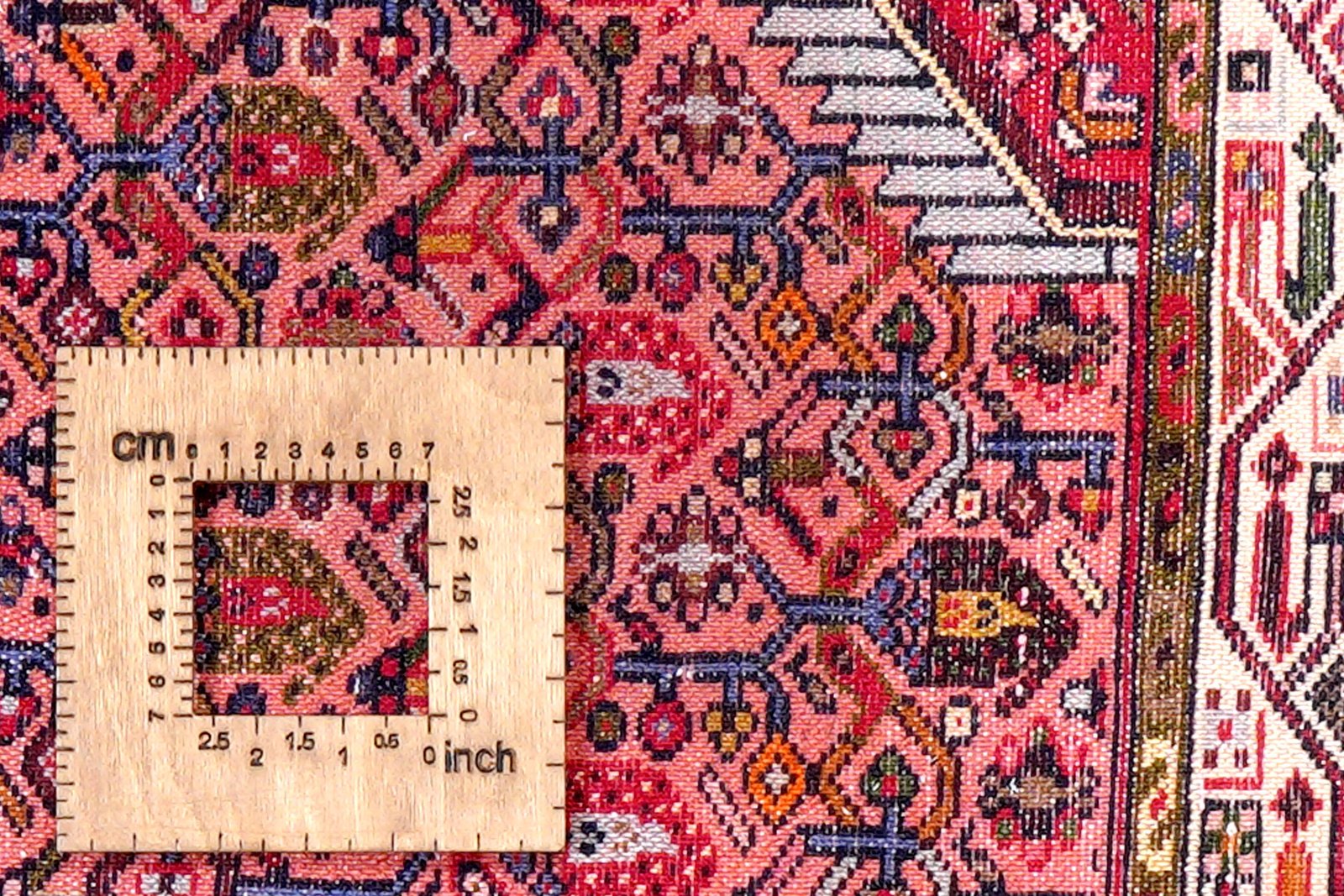 Assadabad — Hand-knotted, 80x203 cm, Red, 100% Virgin Wool | View 8