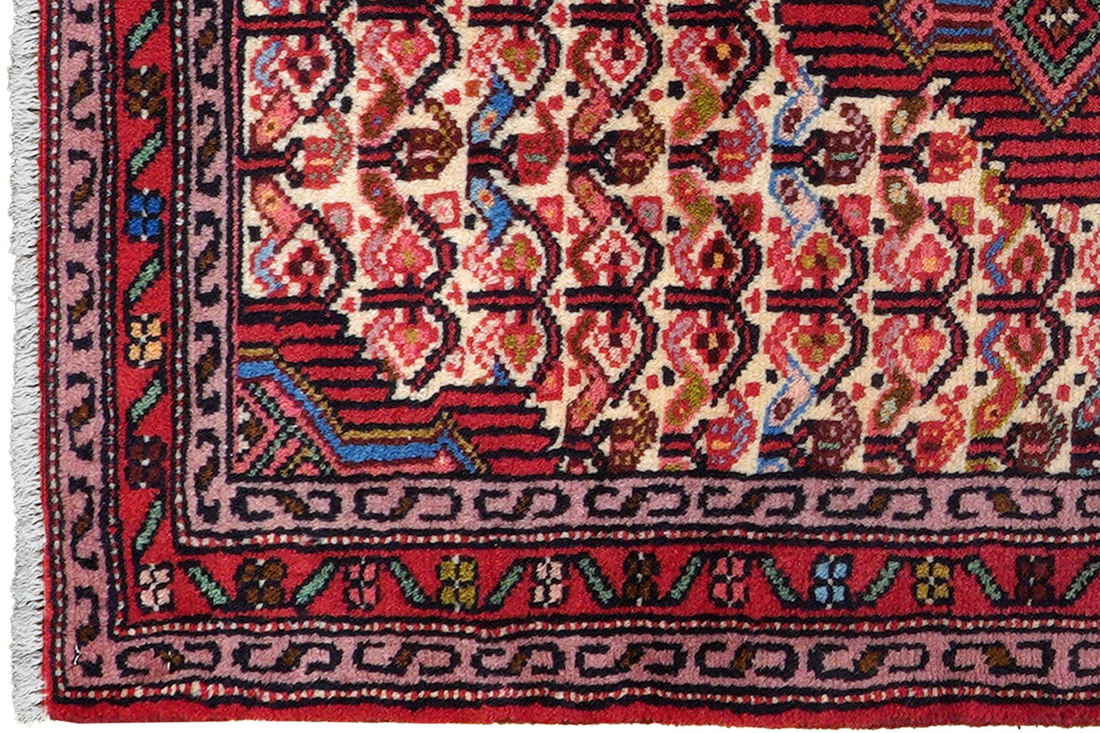 Assadabad — Hand-knotted, 67x99 cm, Beige, 100% Virgin Wool | View 3