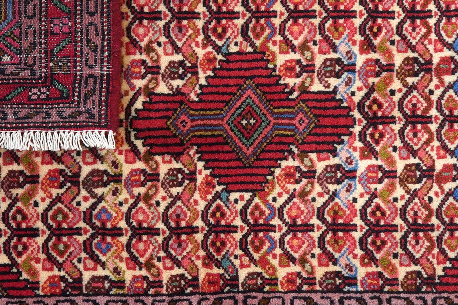 Assadabad — Hand-knotted, 67x99 cm, Beige, 100% Virgin Wool | View 7