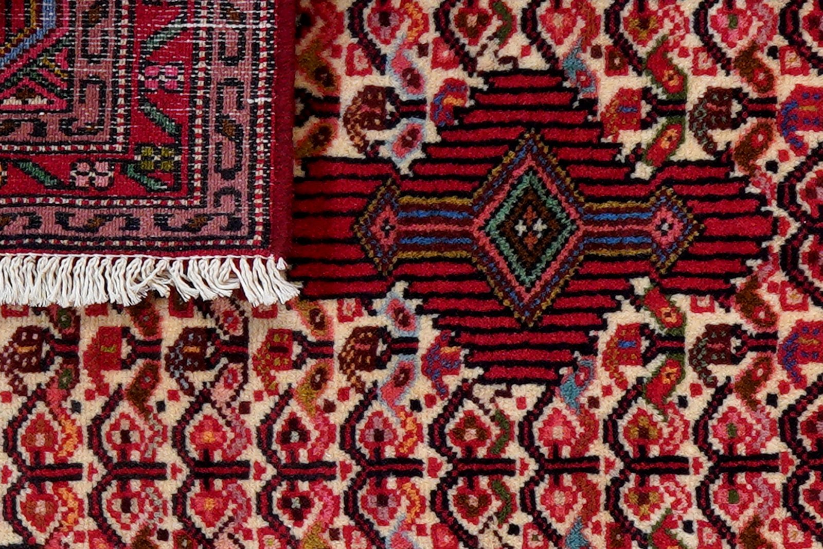 Assadabad — Hand-knotted, 65x95 cm, Beige, 100% Virgin Wool | View 7
