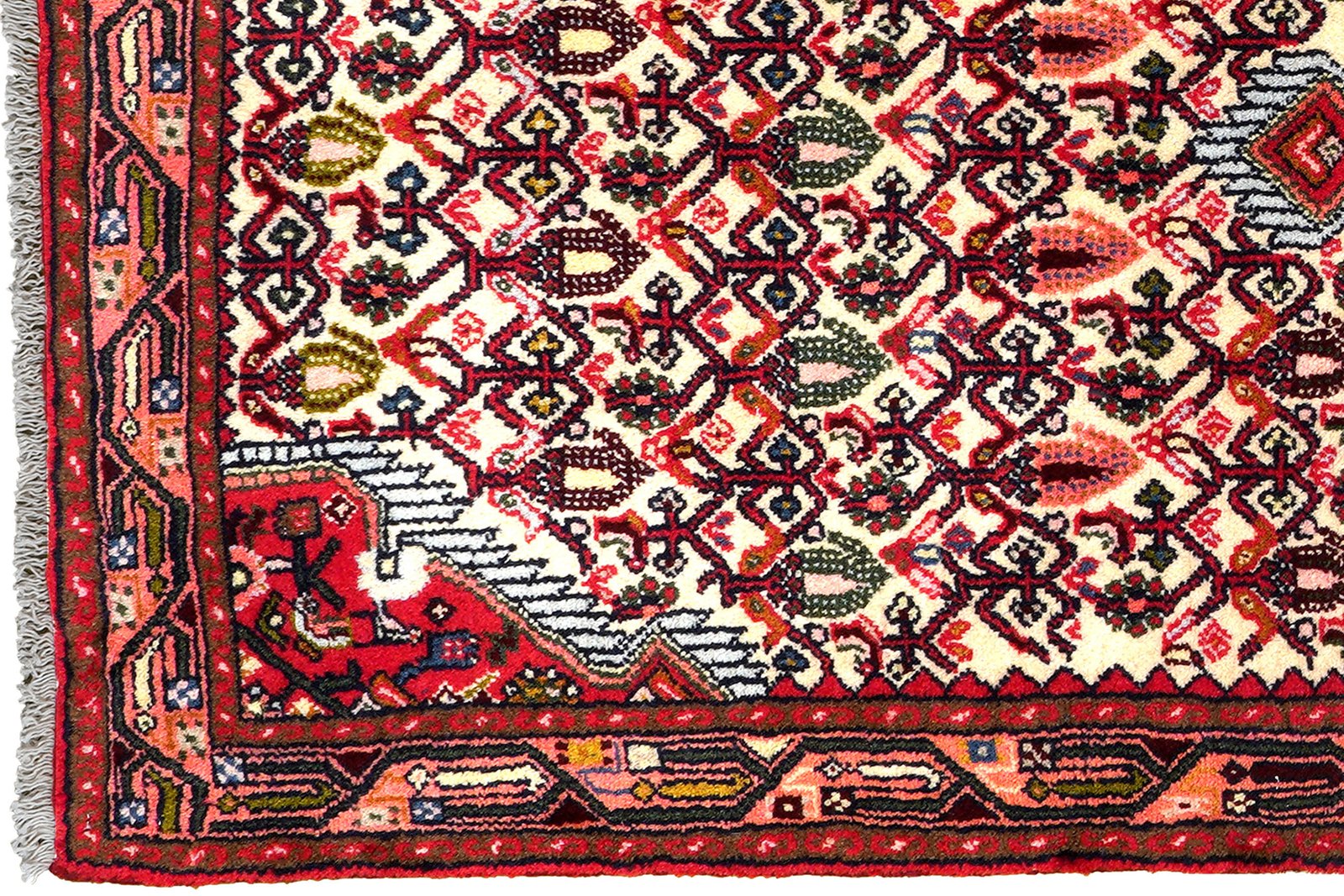 Assadabad — Hand-knotted, 81x190 cm, Beige, 100% Virgin Wool | View 3