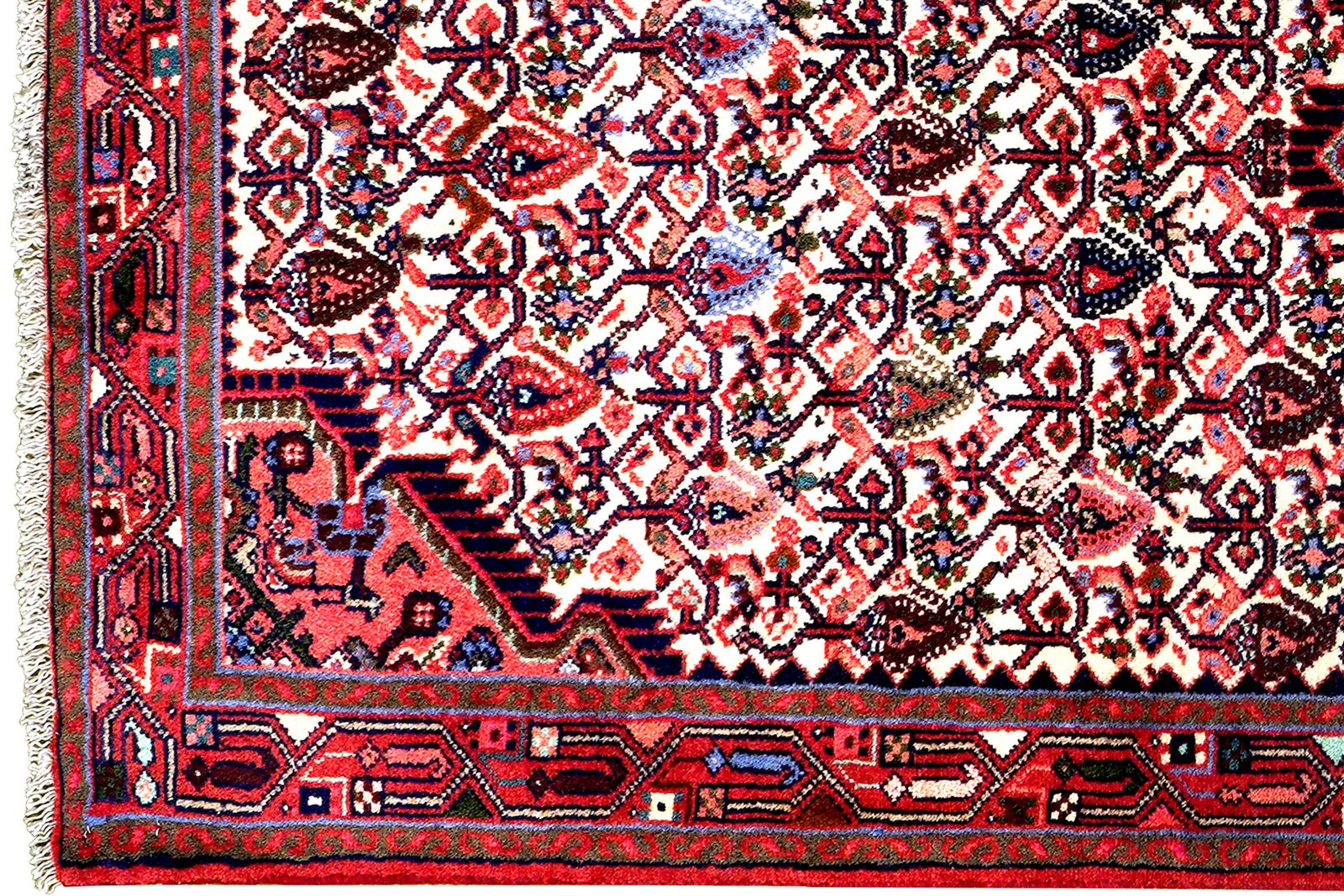 Assadabad — Hand-knotted, 82x196 cm, Beige, 100% Virgin Wool | View 3