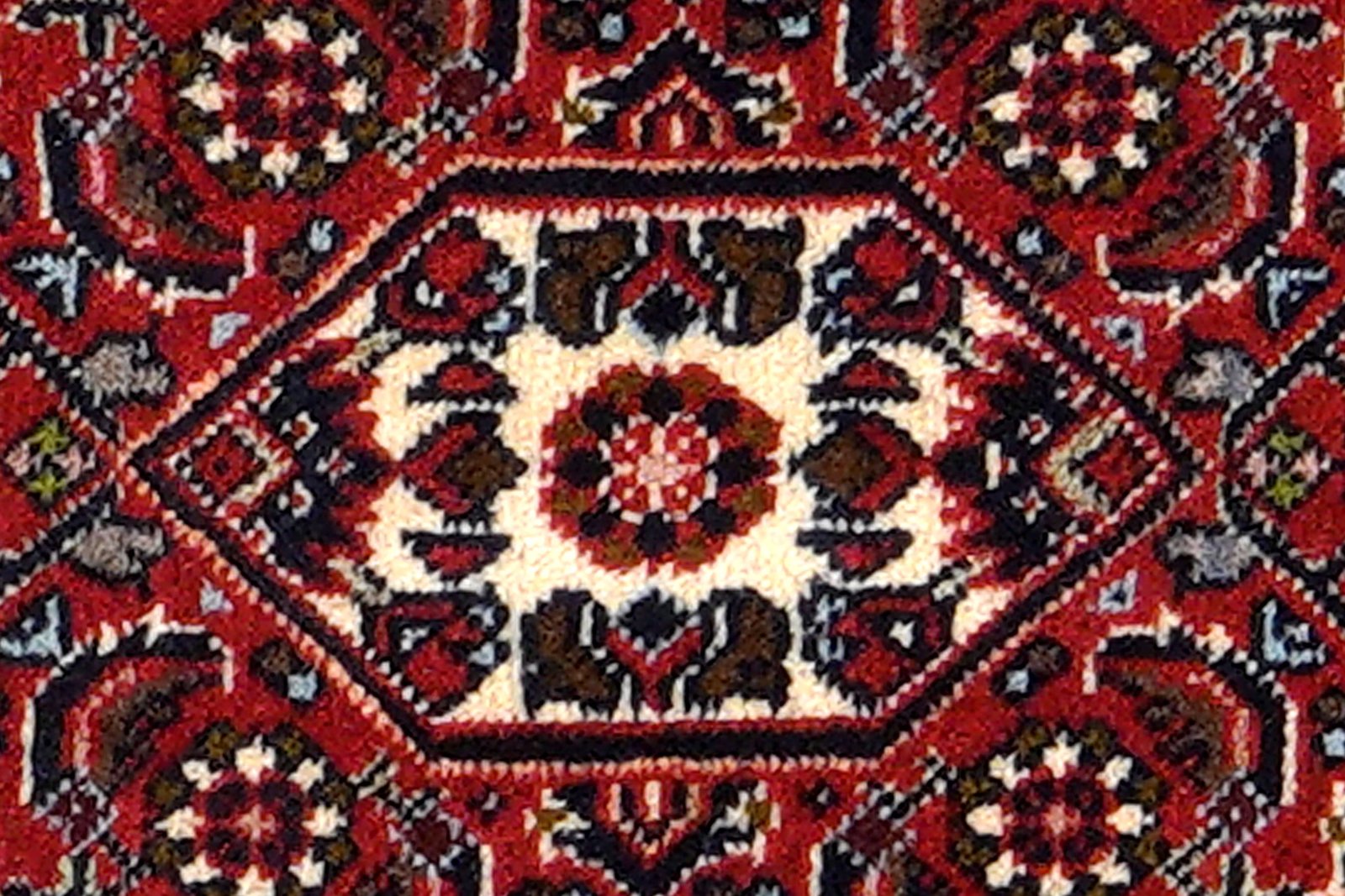 Bidjar Zandjan — Hand-knotted, 45x67 cm, Blue, 100% Virgin Wool | View 6