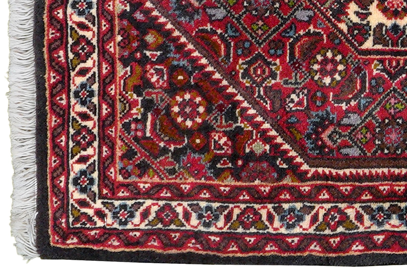 Bidjar Zandjan — Hand-knotted, 47x64 cm, Blue, 100% Virgin Wool | View 3