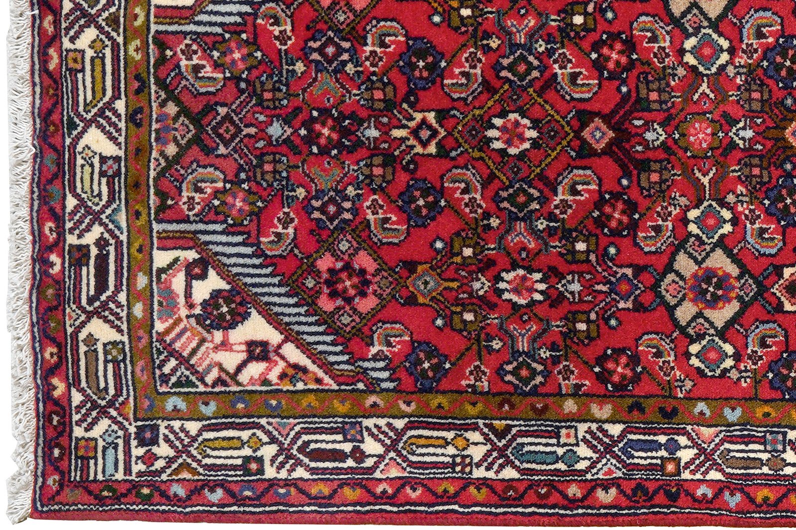 Assadabad — Hand-knotted, 77x212 cm, Red, 100% Virgin Wool | View 3