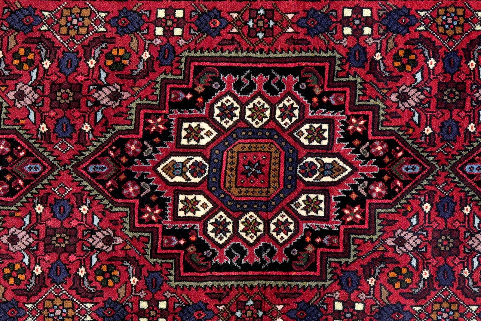Goltuk — Hand-knotted, 81x301 cm, Red, 100% Virgin Wool | View 6