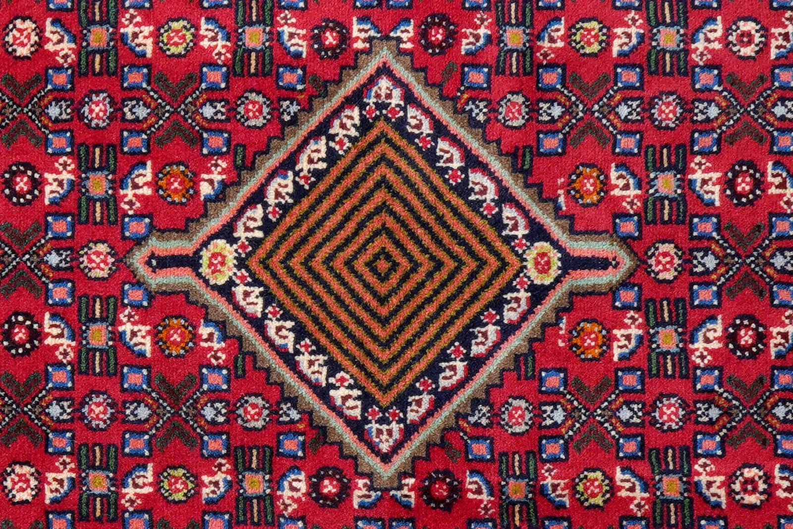 Assadabad — Hand-knotted, 84x205 cm, Red, 100% Virgin Wool | View 6