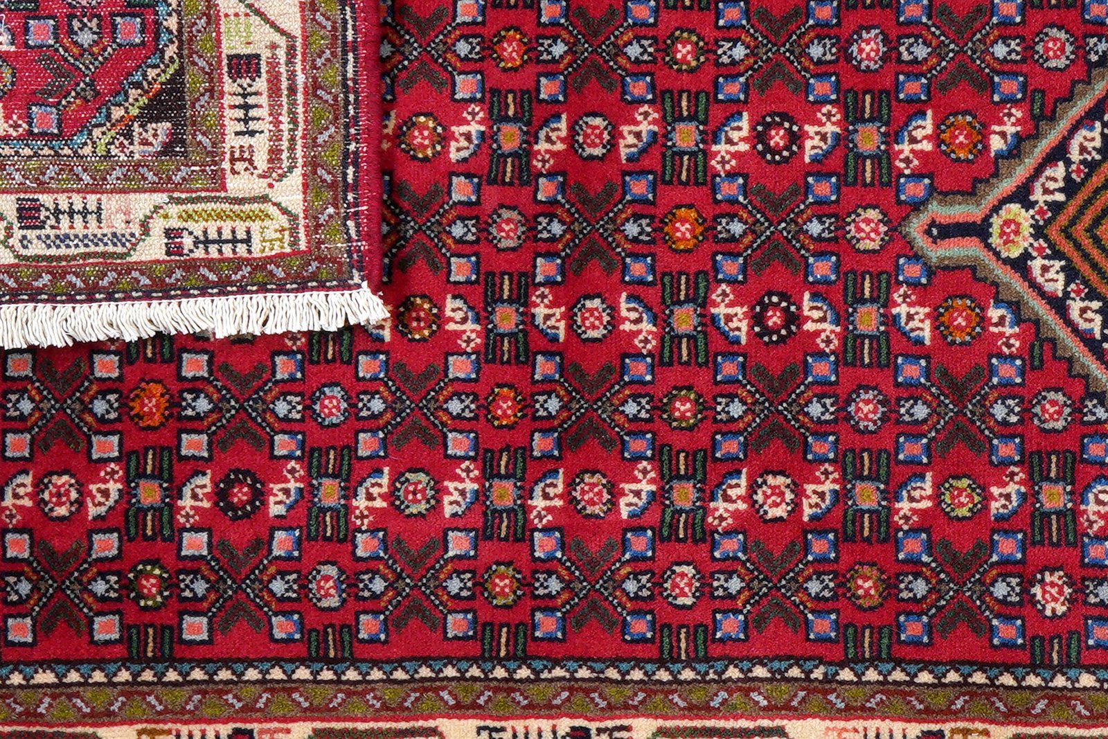Assadabad — Hand-knotted, 84x205 cm, Red, 100% Virgin Wool | View 7