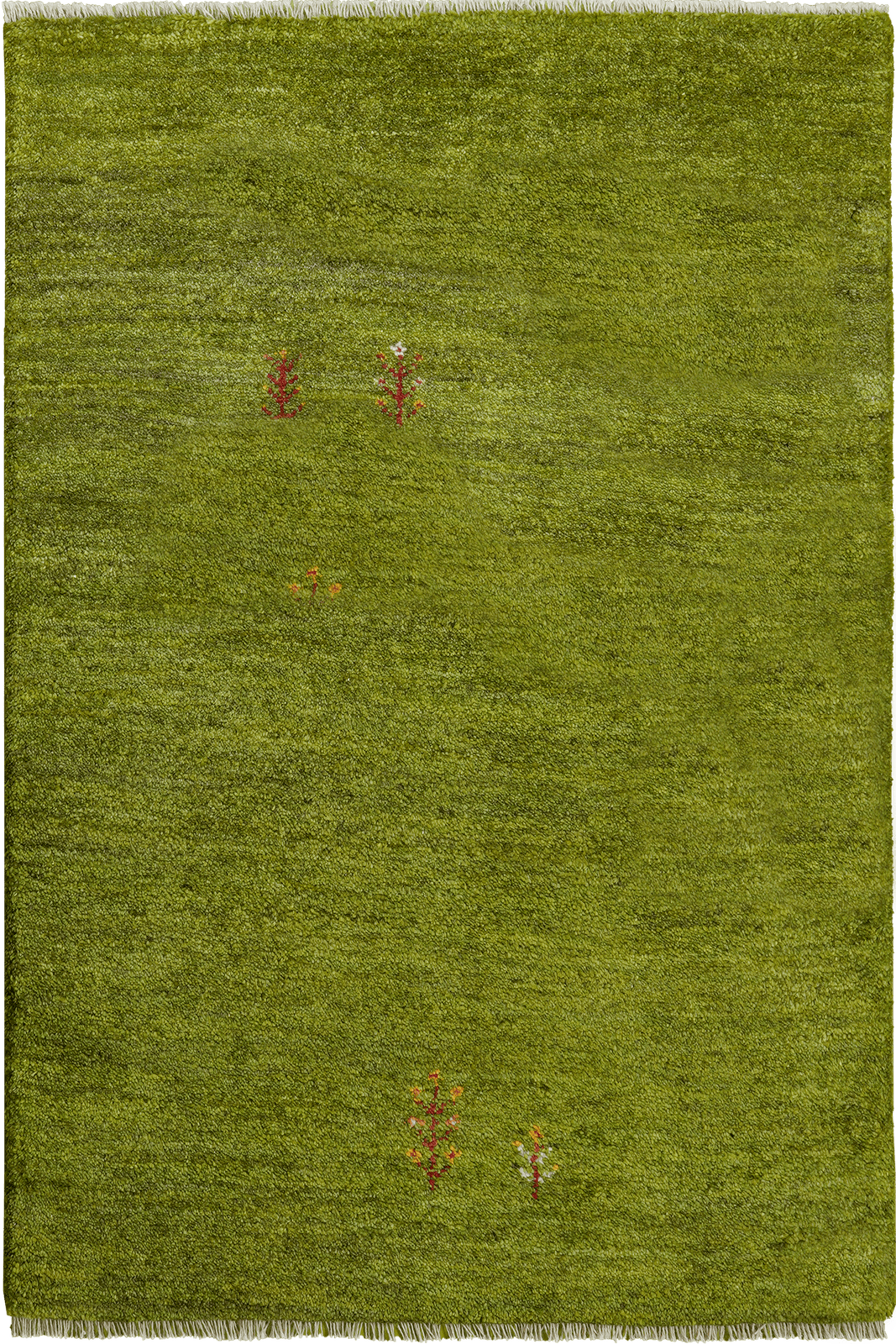 Gabbeh — Hand-knotted, 81x122 cm, Green, 100% Virgin Wool | Main view