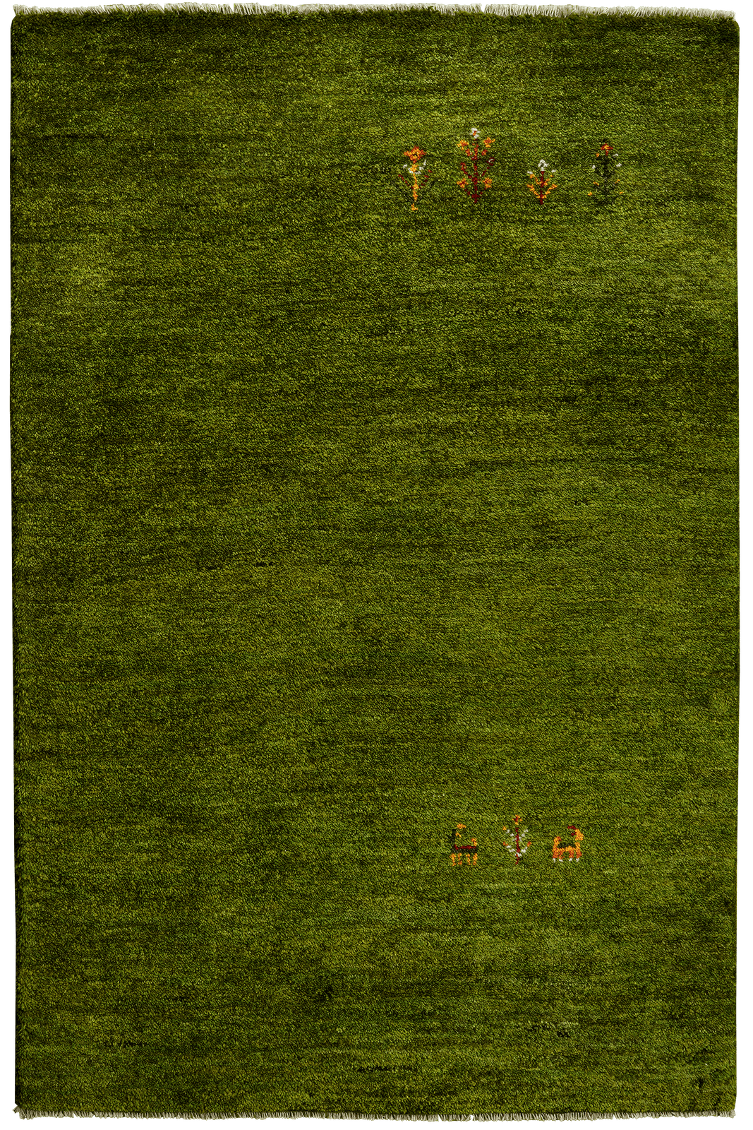 Gabbeh — Hand-knotted, 99x150 cm, Green, 100% Virgin Wool | Main view