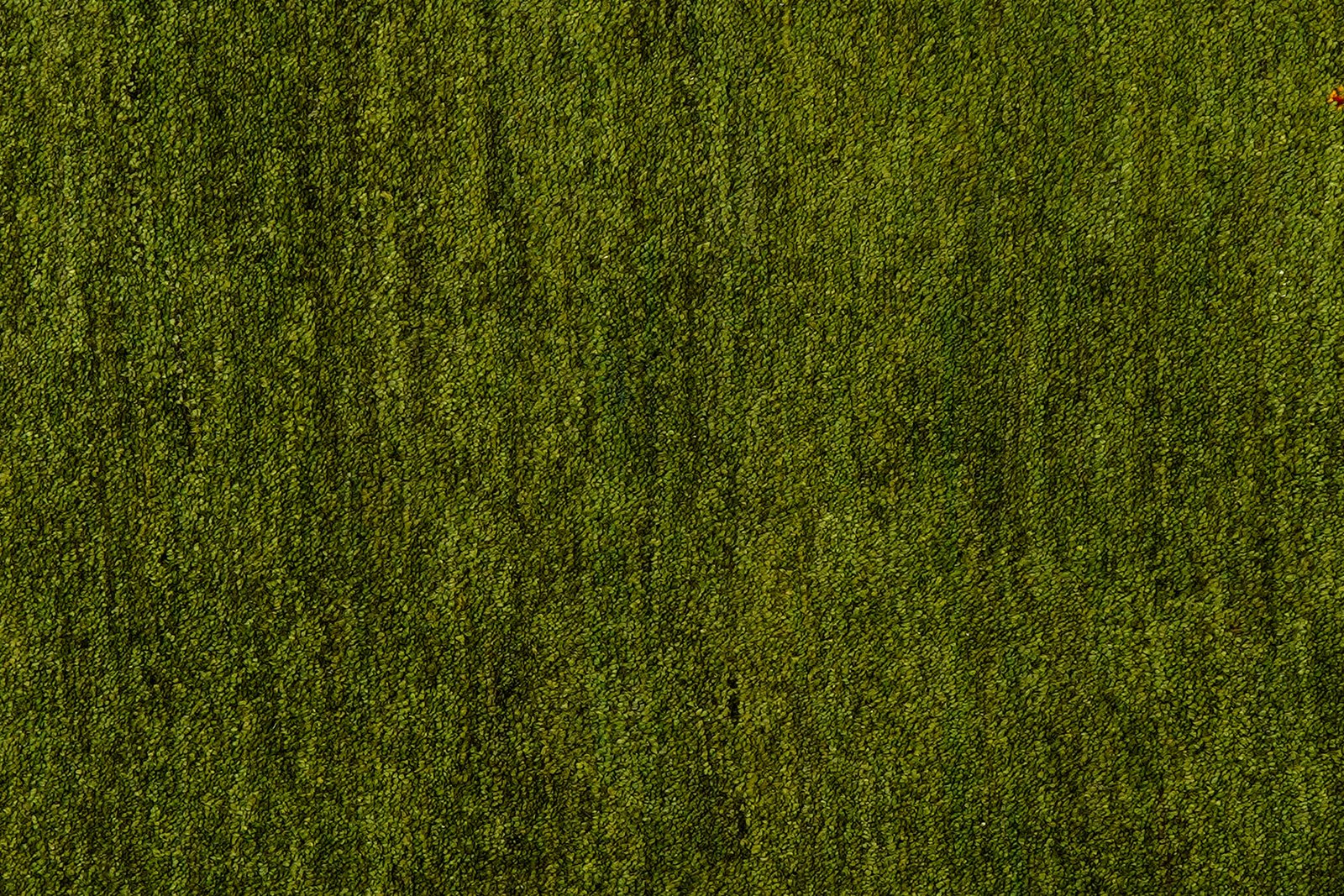 Gabbeh — Hand-knotted, 99x150 cm, Green, 100% Virgin Wool | View 6