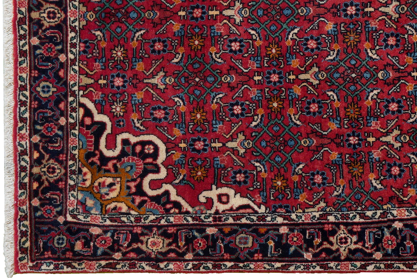 Bidjar Zandjan — Handgefertigt, 160x103 cm, Blau, 100% Virgin Wool | Back view