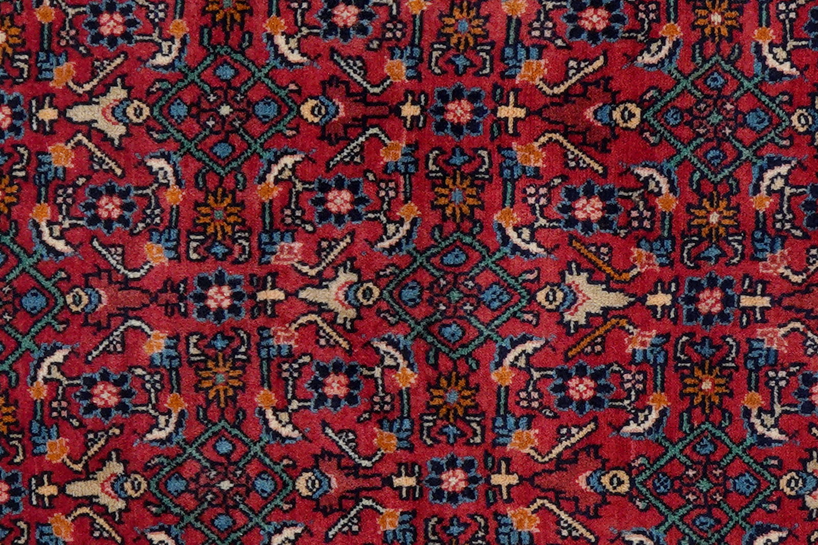 Bidjar Zandjan — Handgefertigt, 160x103 cm, Blau, 100% Virgin Wool | View 6