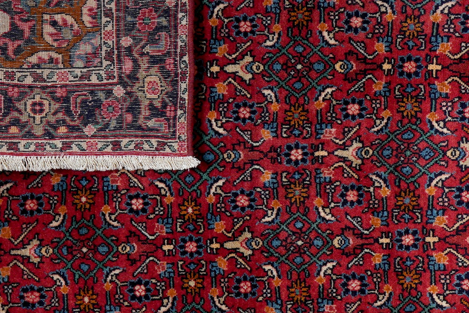 Bidjar Zandjan — Handgefertigt, 160x103 cm, Blau, 100% Virgin Wool | View 7