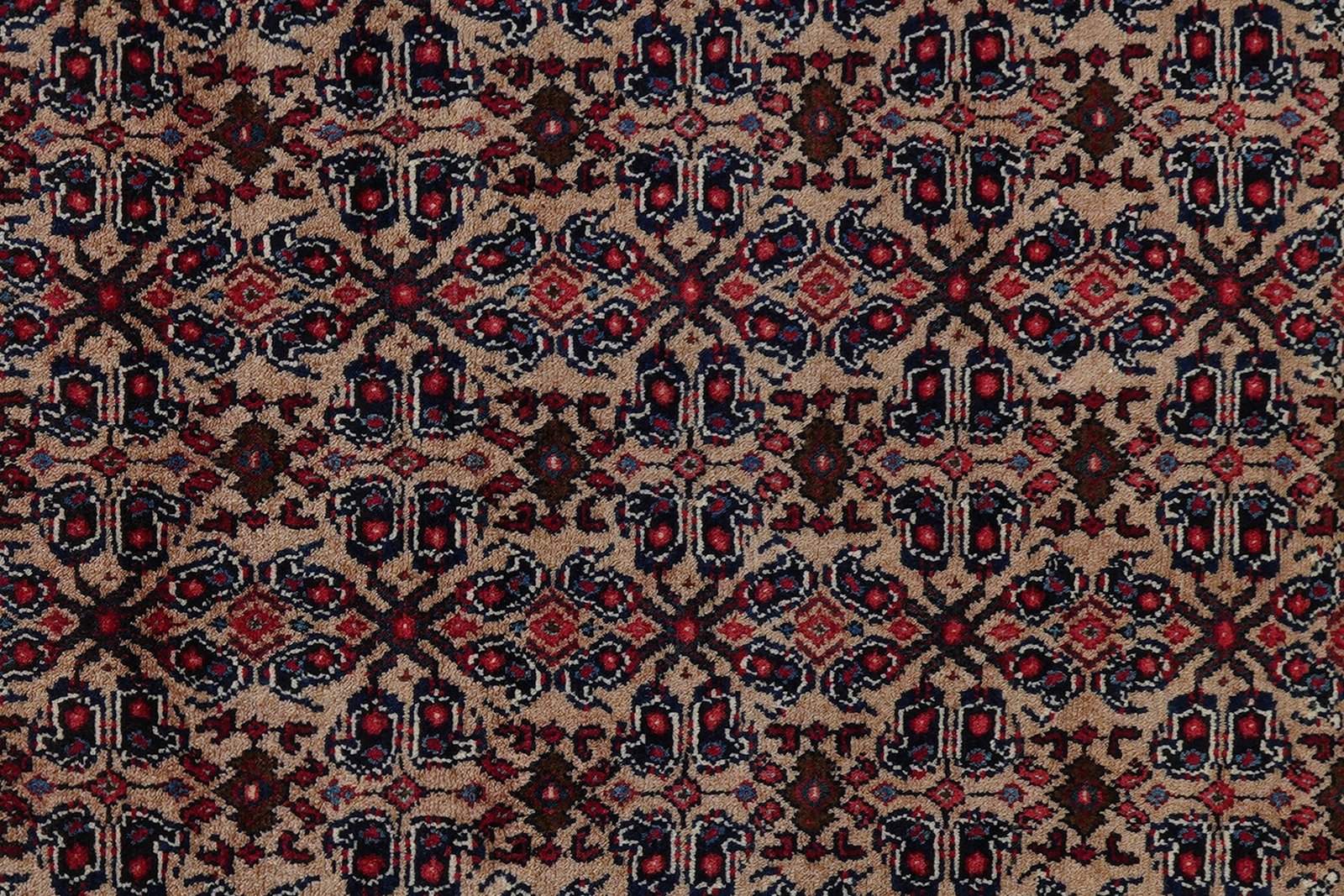 Senneh — Hand-knotted, 119x144 cm, Beige, 100% Virgin Wool | View 6