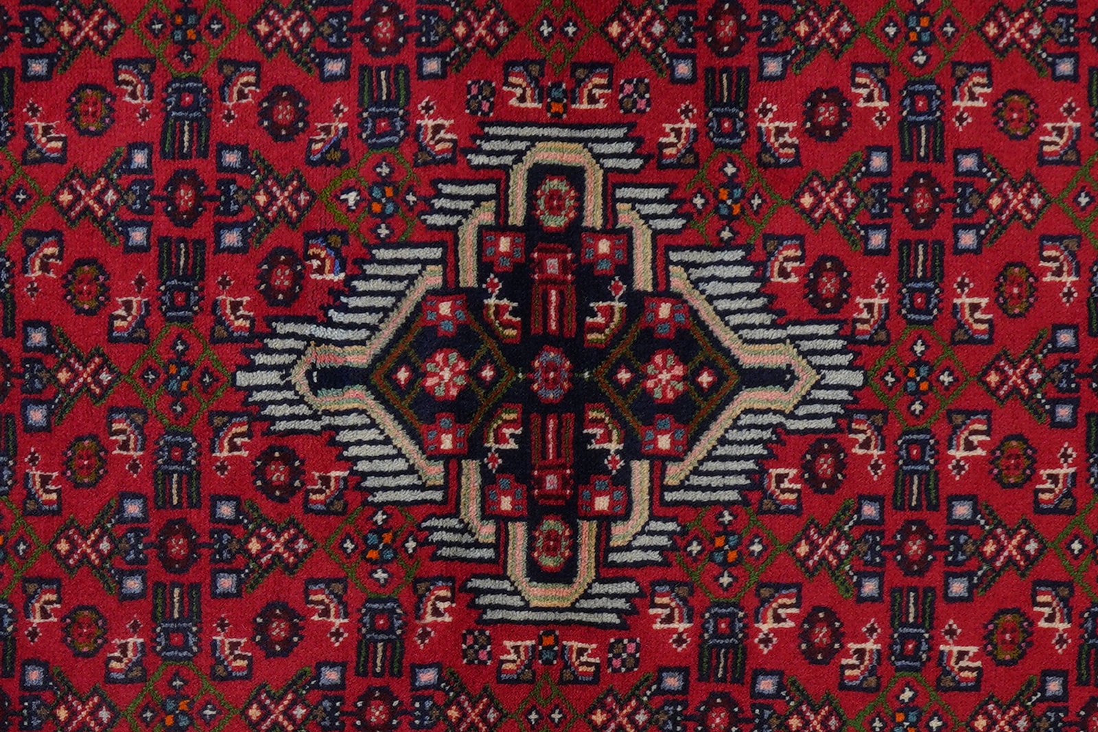 Assadabad — Hand-knotted, 100x153 cm, Red, 100% Virgin Wool | View 6