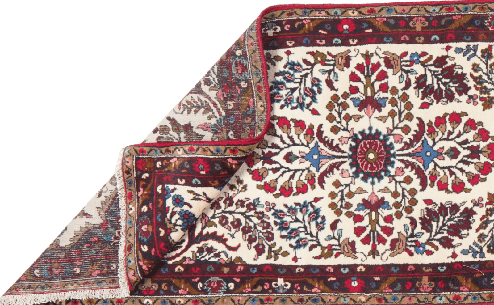 Mehreban — Hand-knotted, 81x401 cm, Beige, 100% Virgin Wool | View 5