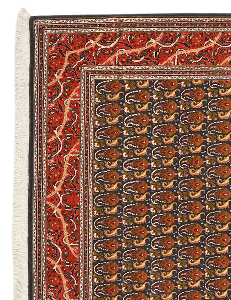 Tabriz 50 Raj — Hand-knotted, 102x151 cm, Black, 100% Virgin Wool | View 3