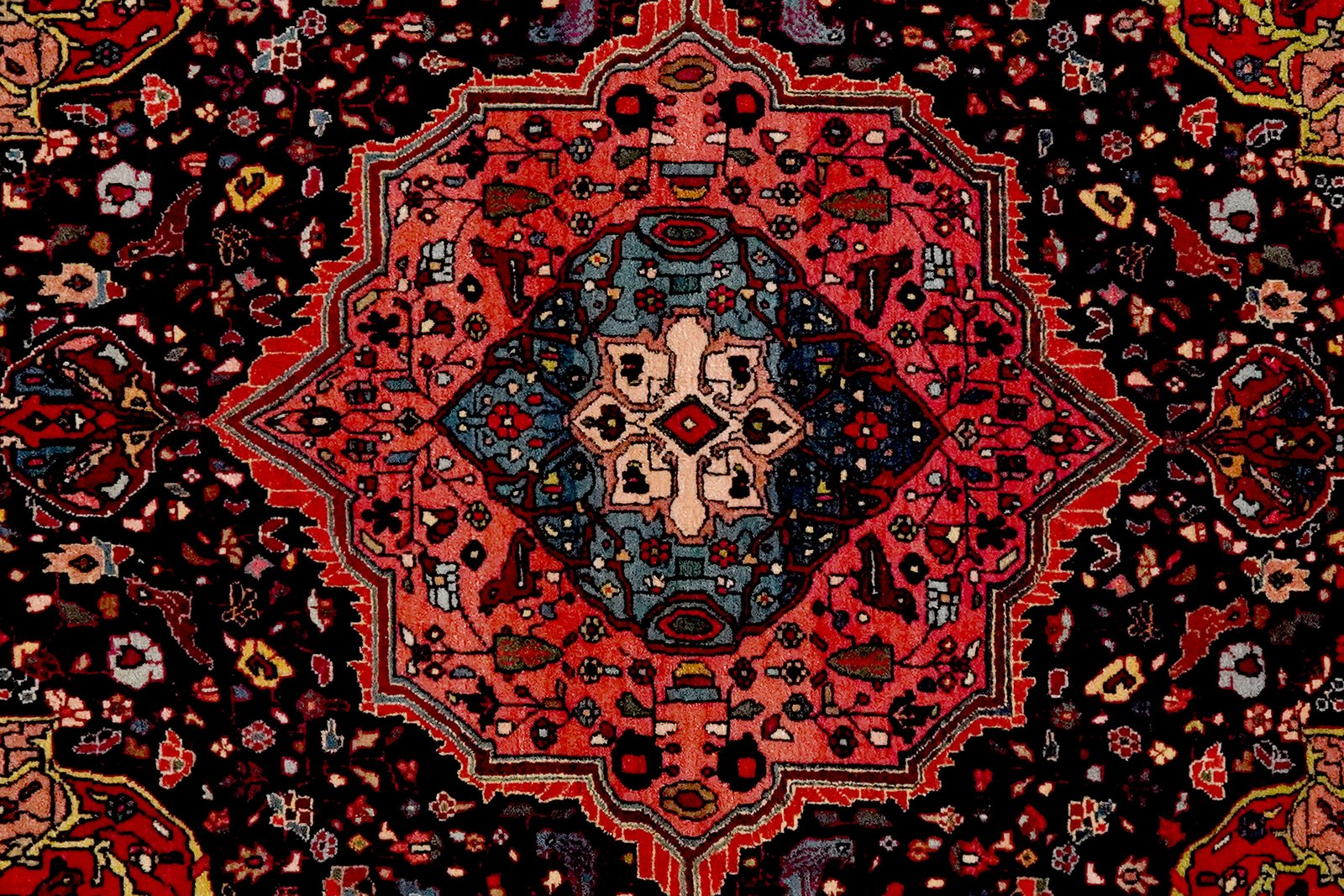 Bidjar — Hand-knotted, 113x159 cm, Blue, 100% Virgin Wool | View 4