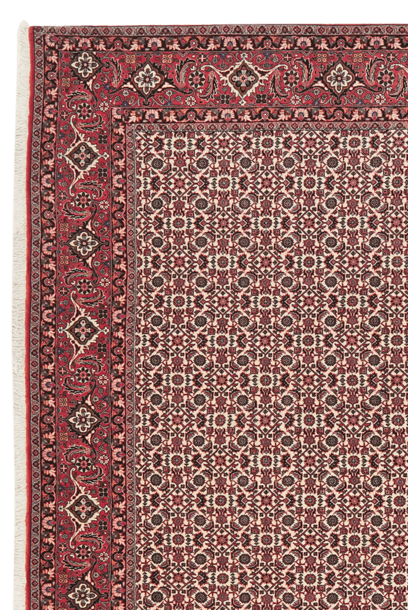 Bidjar — Hand-knotted, 207x248 cm, Beige, 100% Virgin Wool | View 3