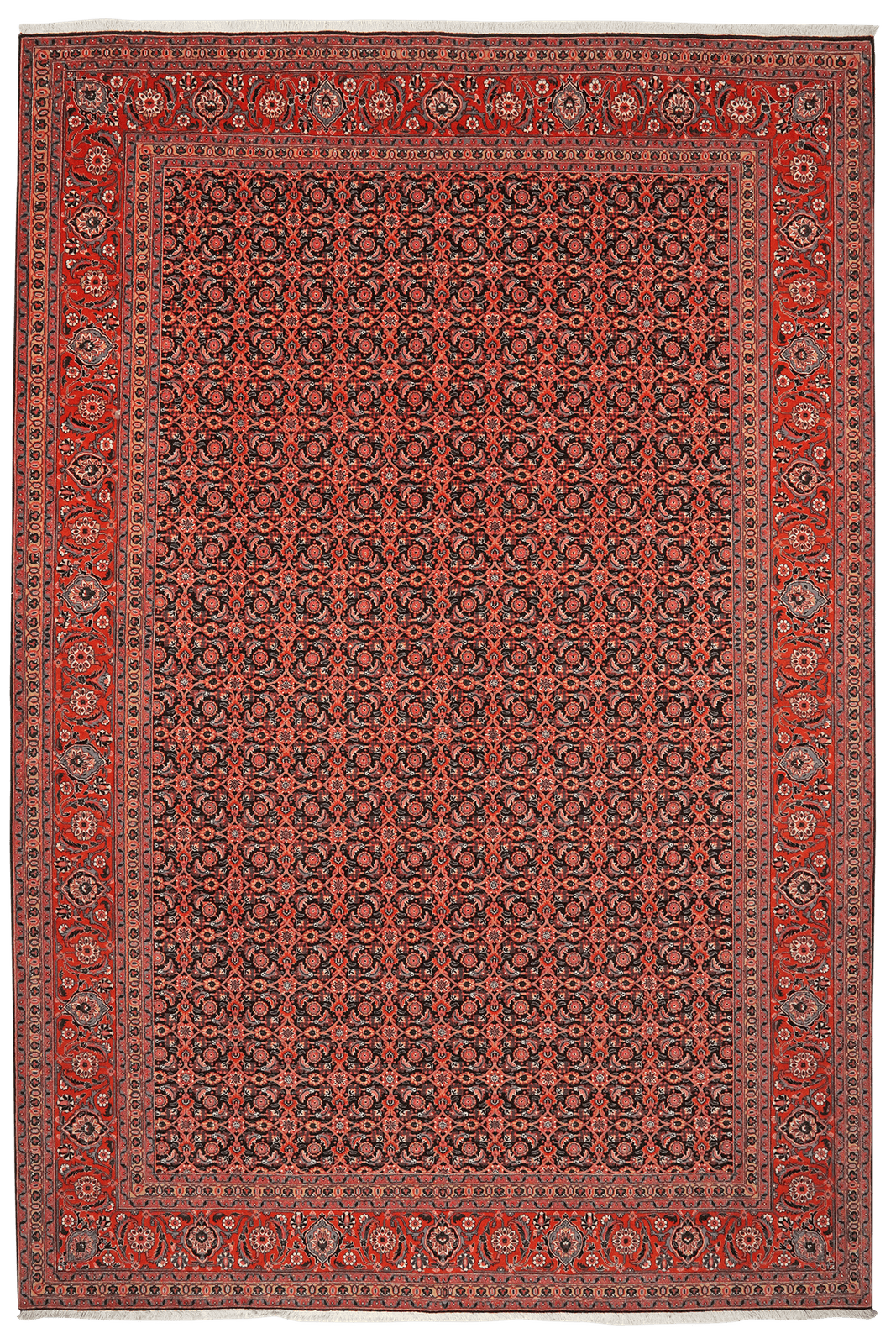Tabriz 50 Raj — Hand-knotted, 202x297 cm, Black, 100% Virgin Wool | Main view