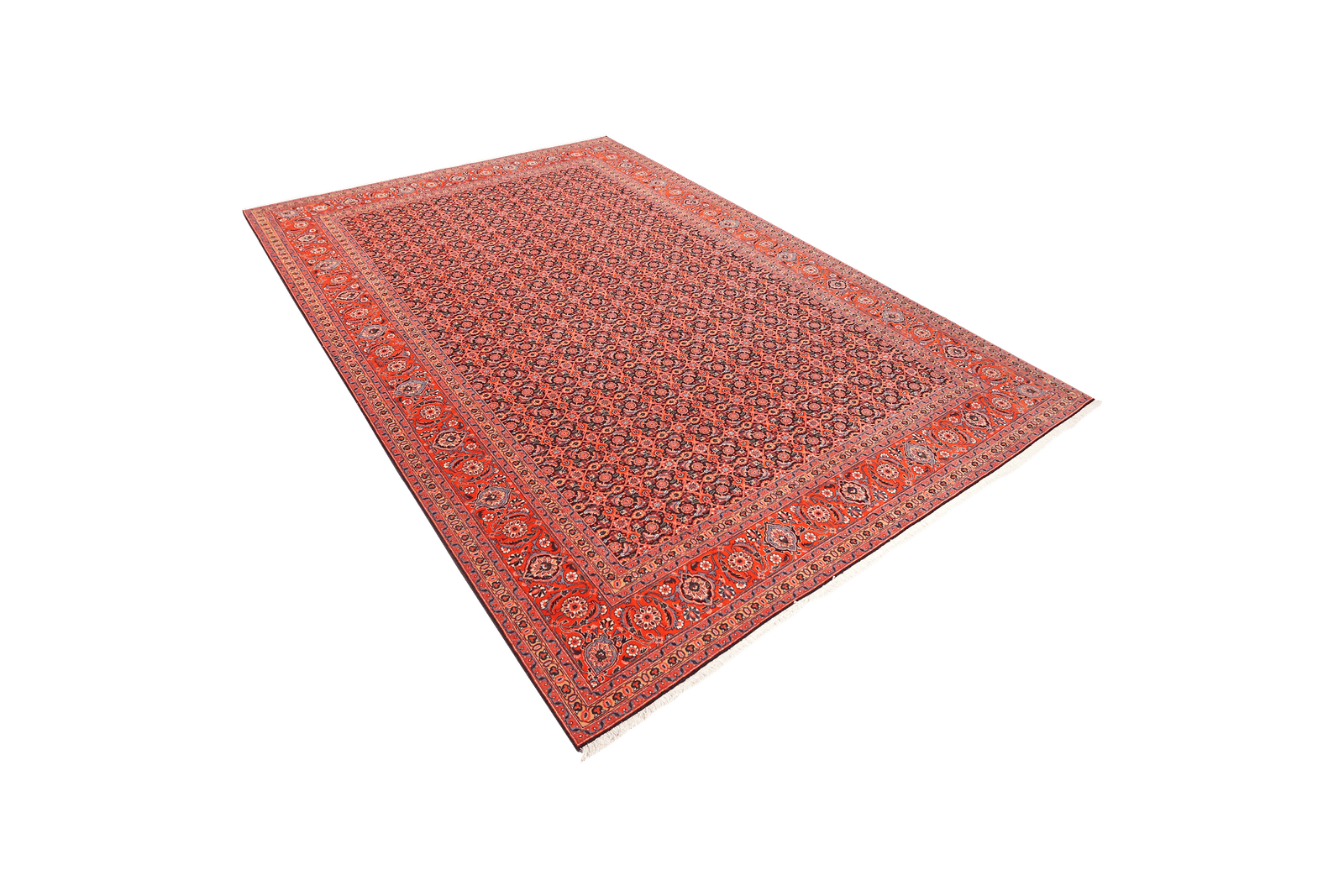 Tabriz 50 Raj — Hand-knotted, 202x297 cm, Black, 100% Virgin Wool | View 5