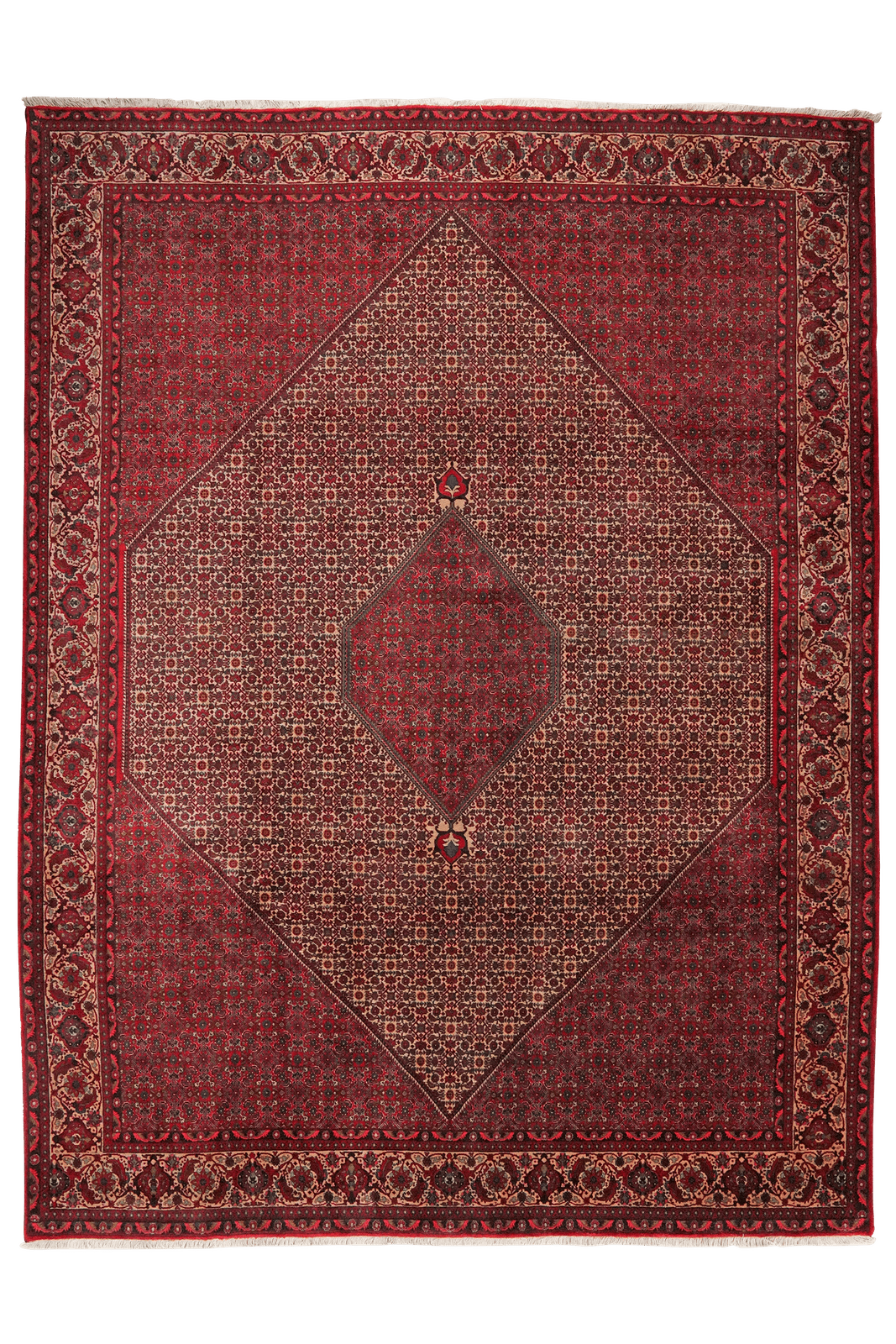 Bidjar — Hand-knotted, 258x337 cm, Beige, 100% Virgin Wool | Main view