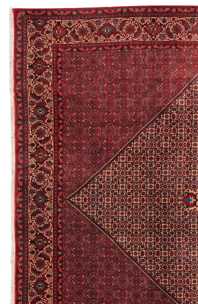 Bidjar — Hand-knotted, 258x337 cm, Beige, 100% Virgin Wool | View 3