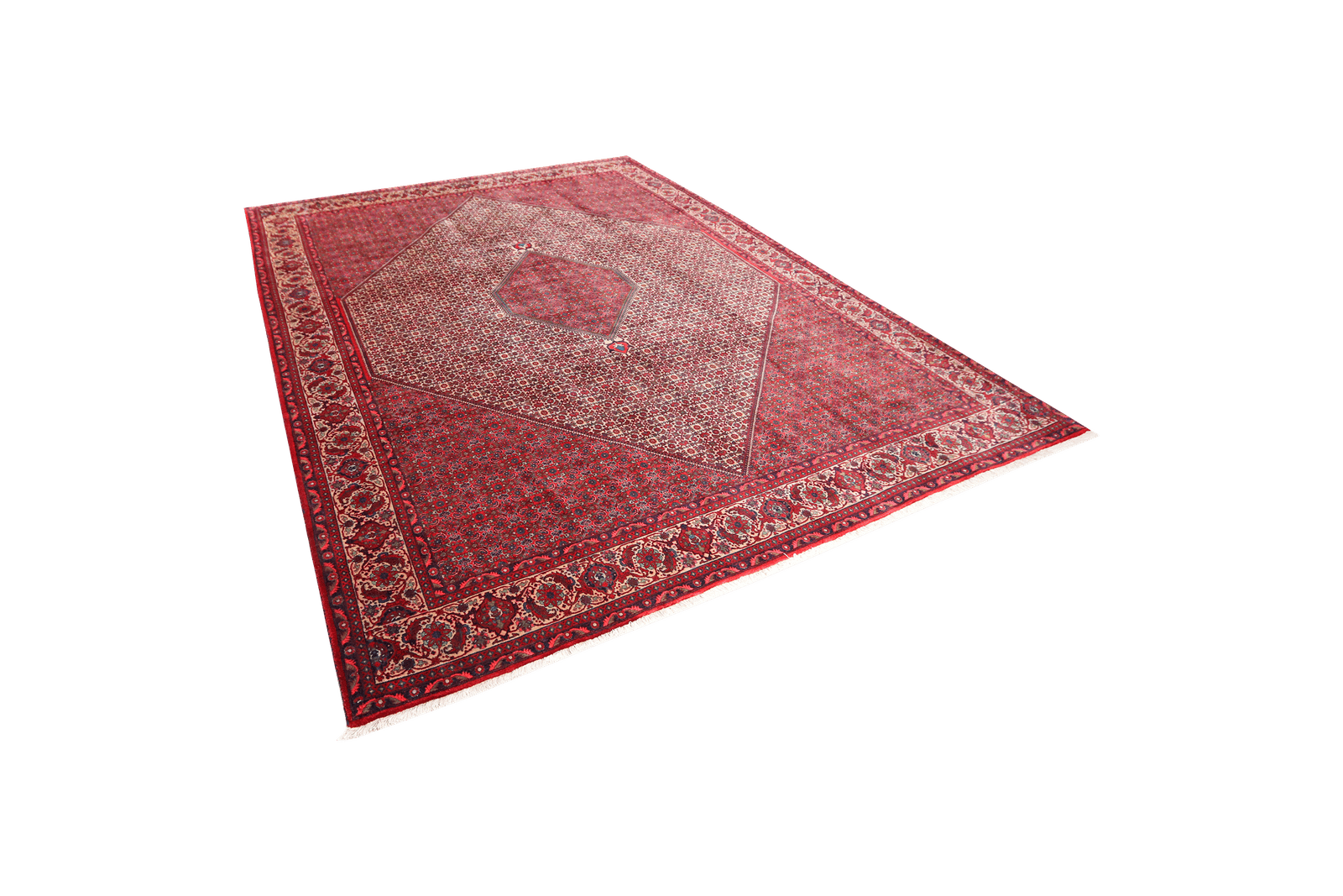 Bidjar — Hand-knotted, 258x337 cm, Beige, 100% Virgin Wool | View 5