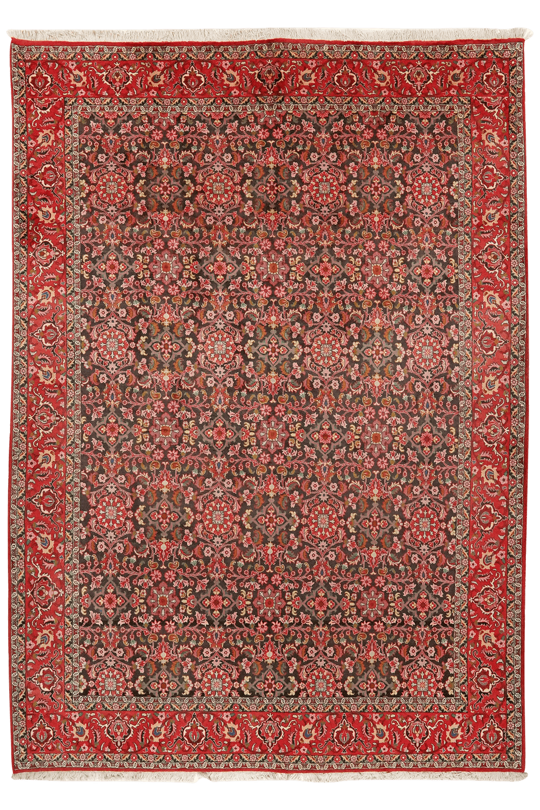Bidjar — Hand-knotted, 197x289 cm, Black, 100% Virgin Wool | Main view