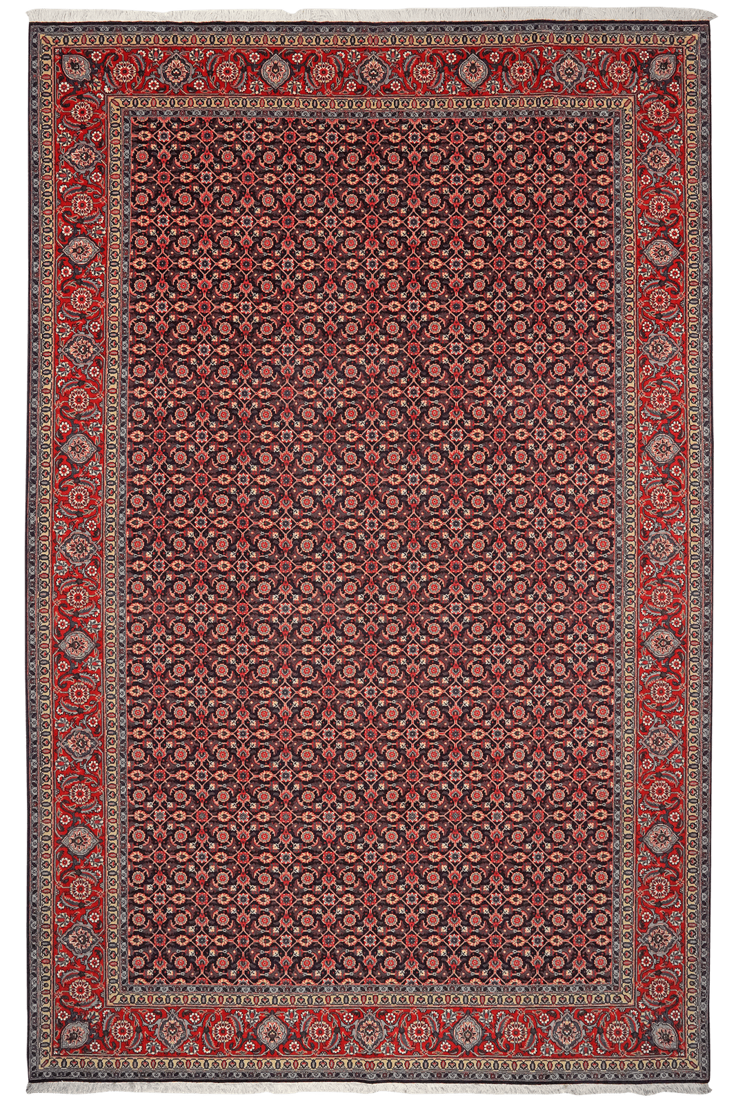 Tabriz 50 Raj — Hand-knotted, 202x309 cm, Black, 100% Virgin Wool | Main view