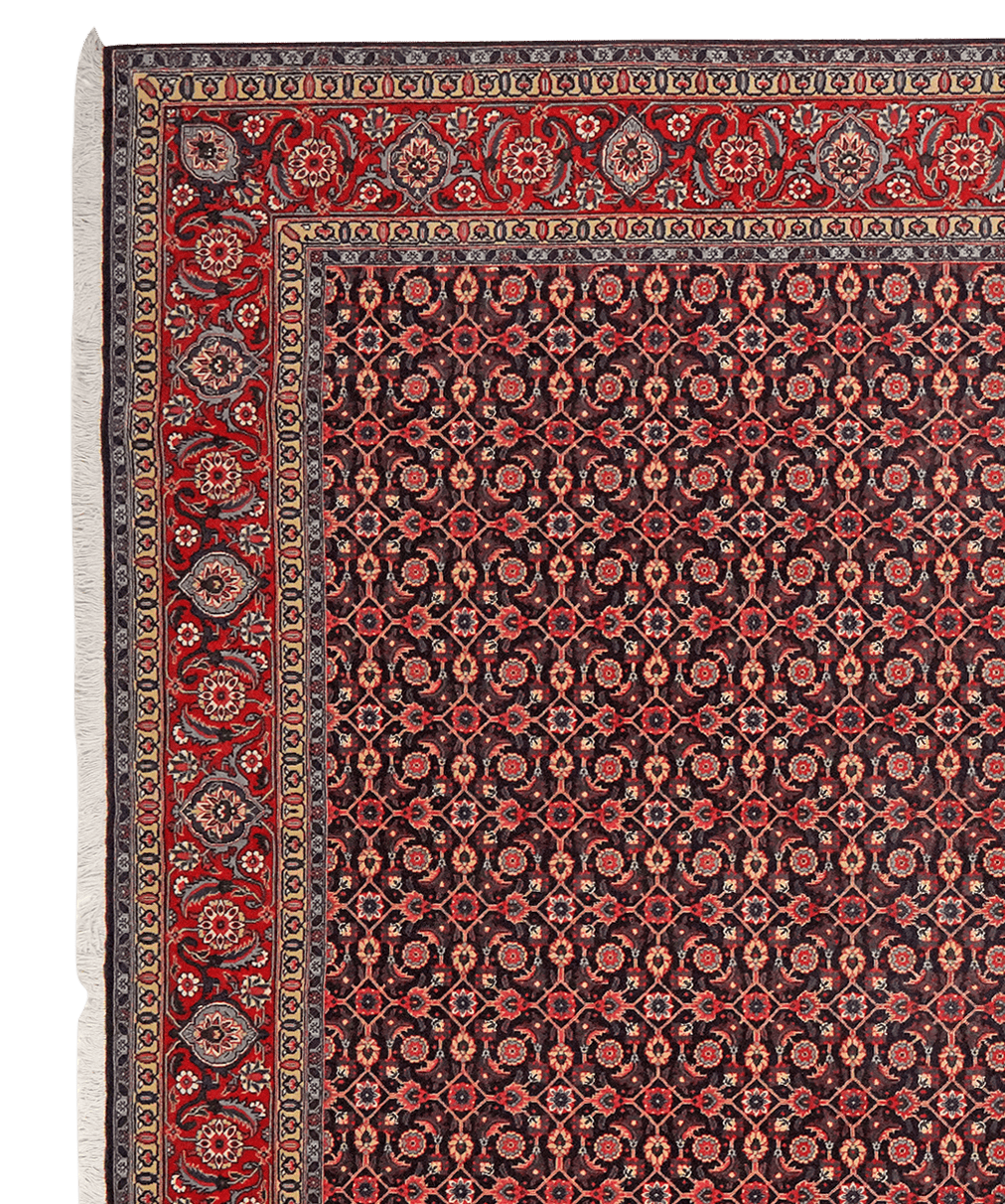 Tabriz 50 Raj — Hand-knotted, 202x309 cm, Black, 100% Virgin Wool | View 3